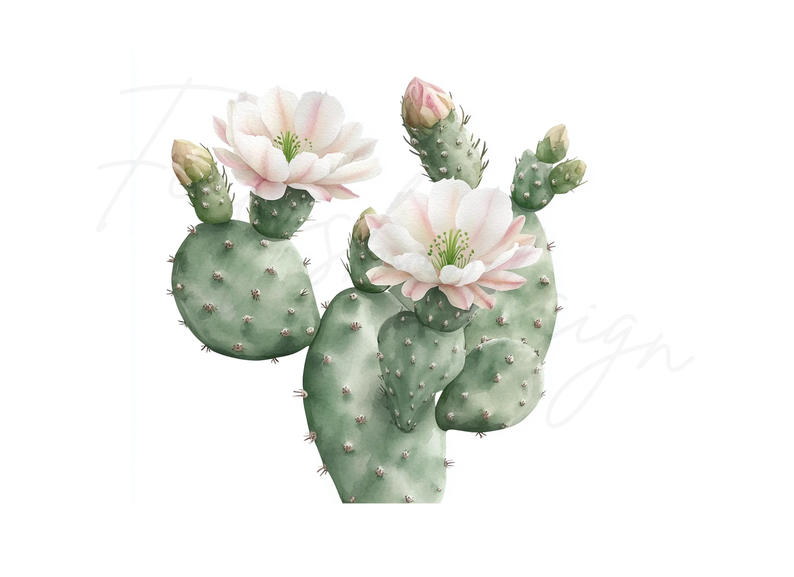 Prickly Pear Cactus Clipart Bundle