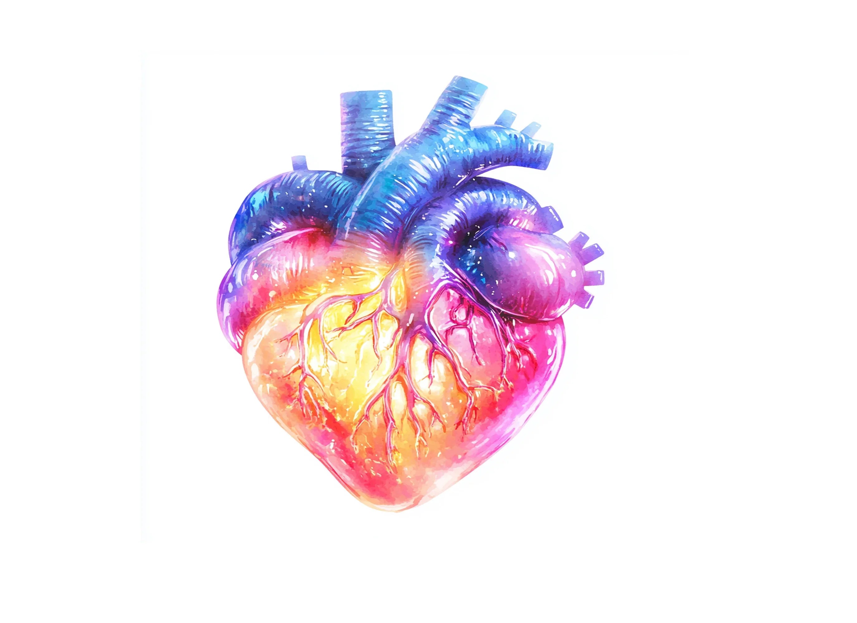 Vibrant Human Heart Clipart Bundle