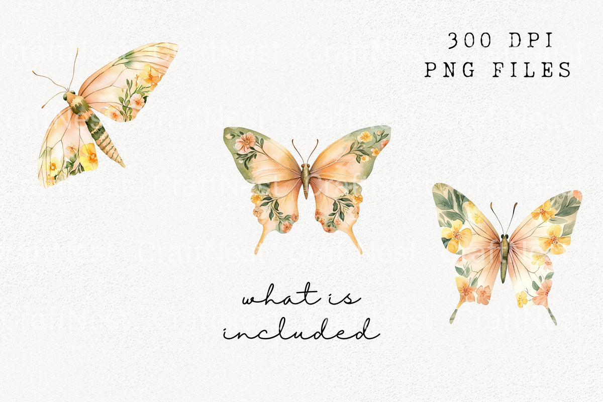 Orange Floral Butterfly Elements Clipart Bundle