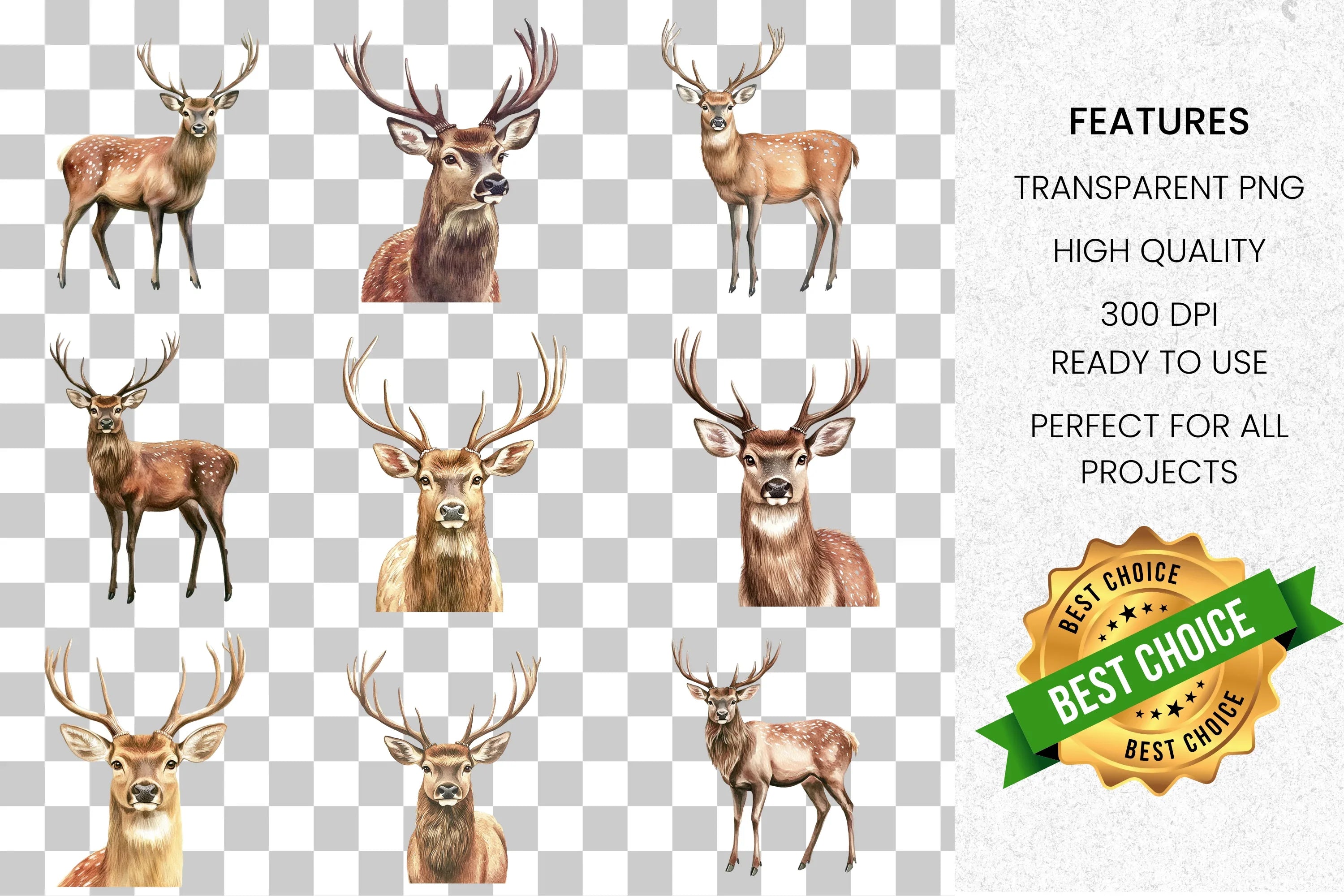 Majestic Realistic Deer Clipart Bundle