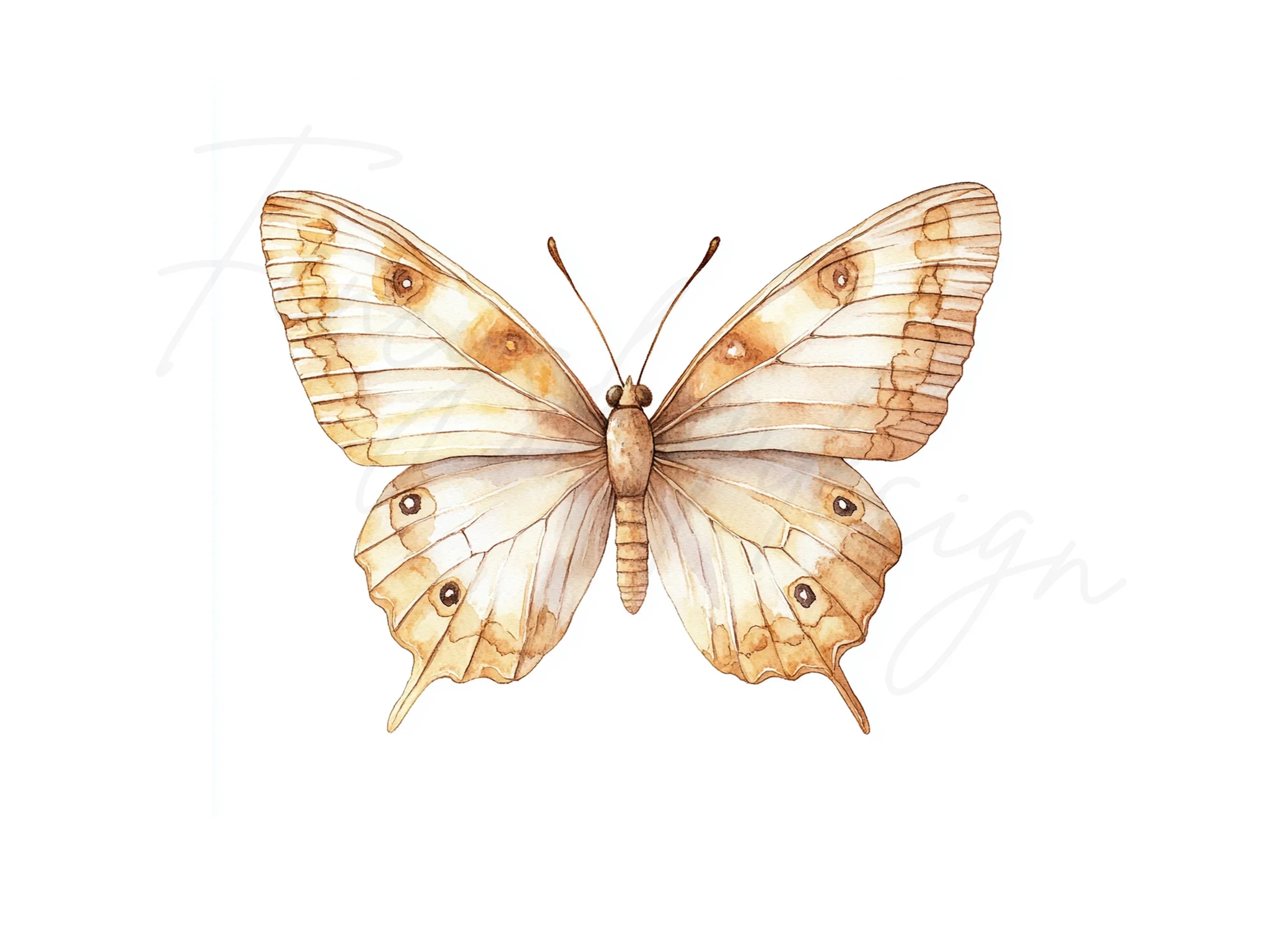 Vintage Brown Butterfly Clipart Bundle