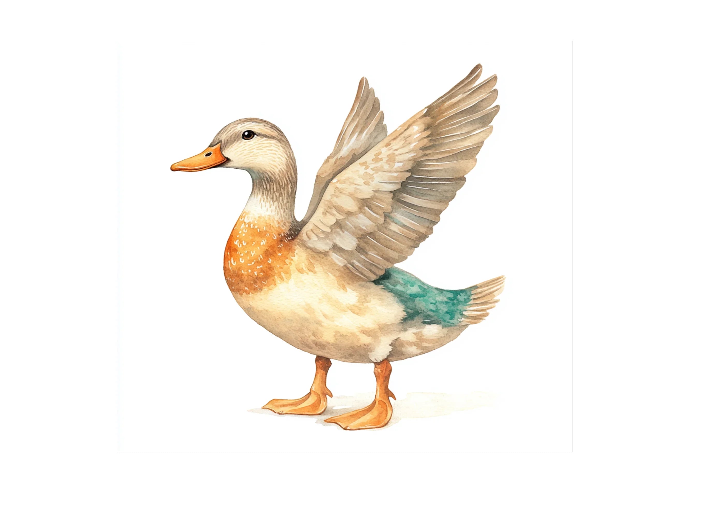Cute Duckling Clipart Bundle