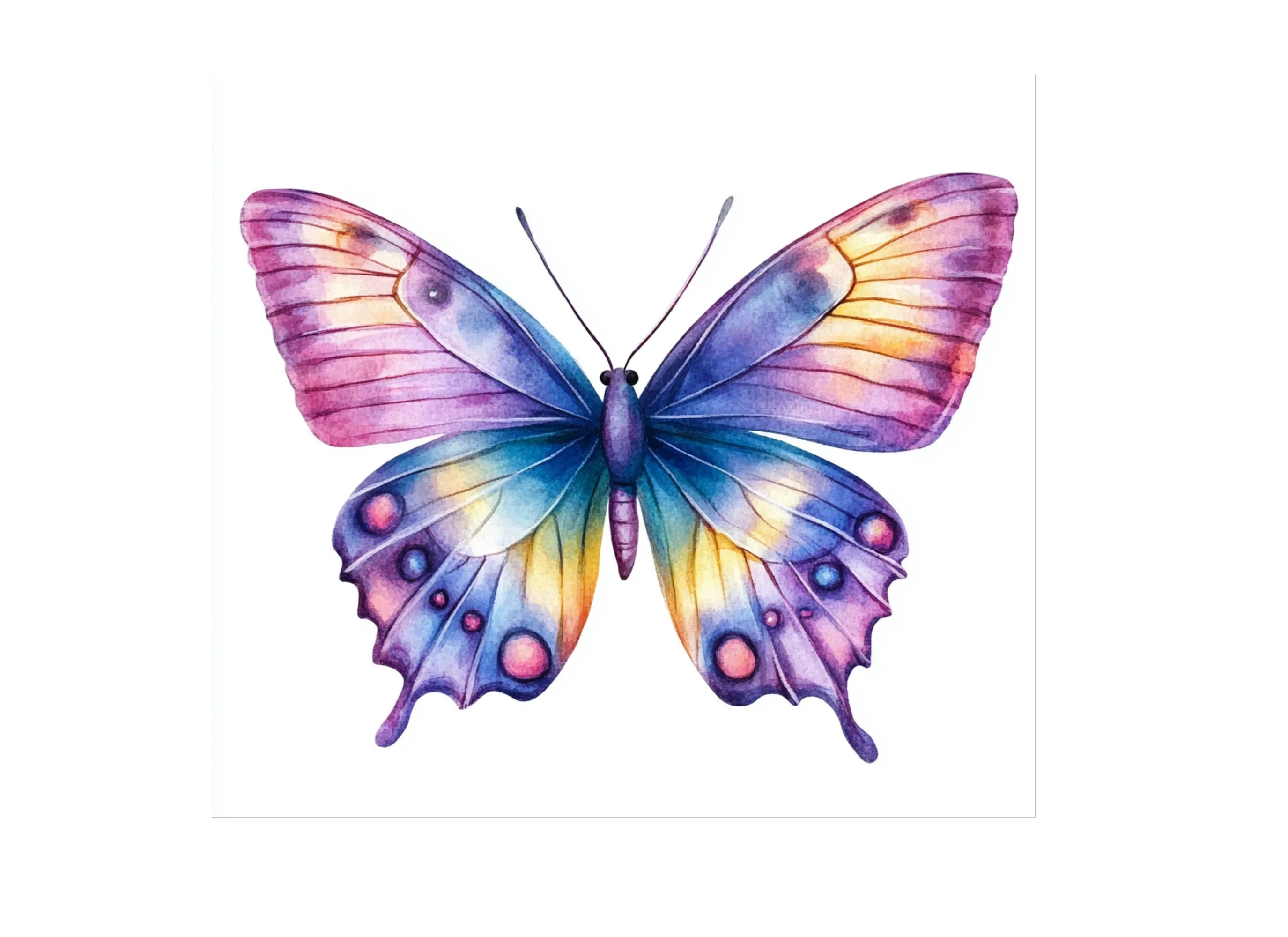 Vibrant Butterfly Clipart Bundle