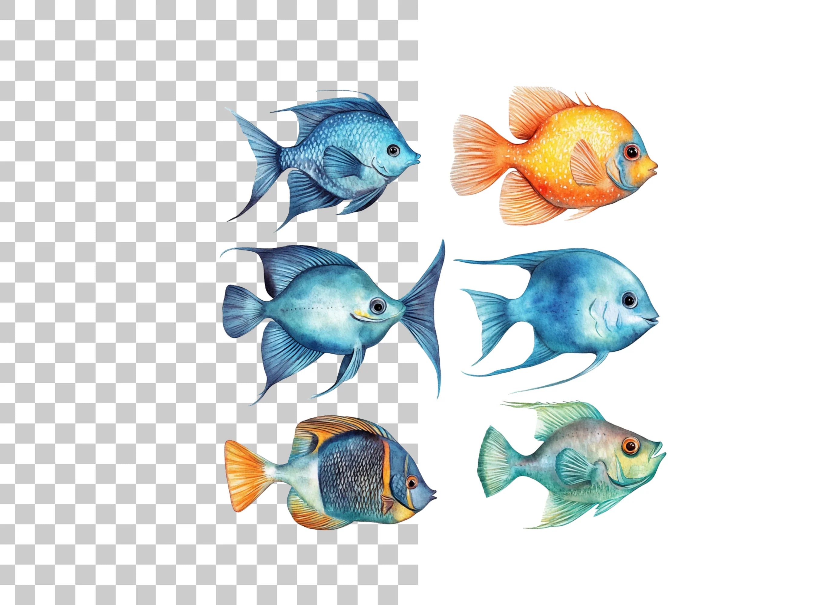 Vibrant Tropical Fish Clipart Bundle