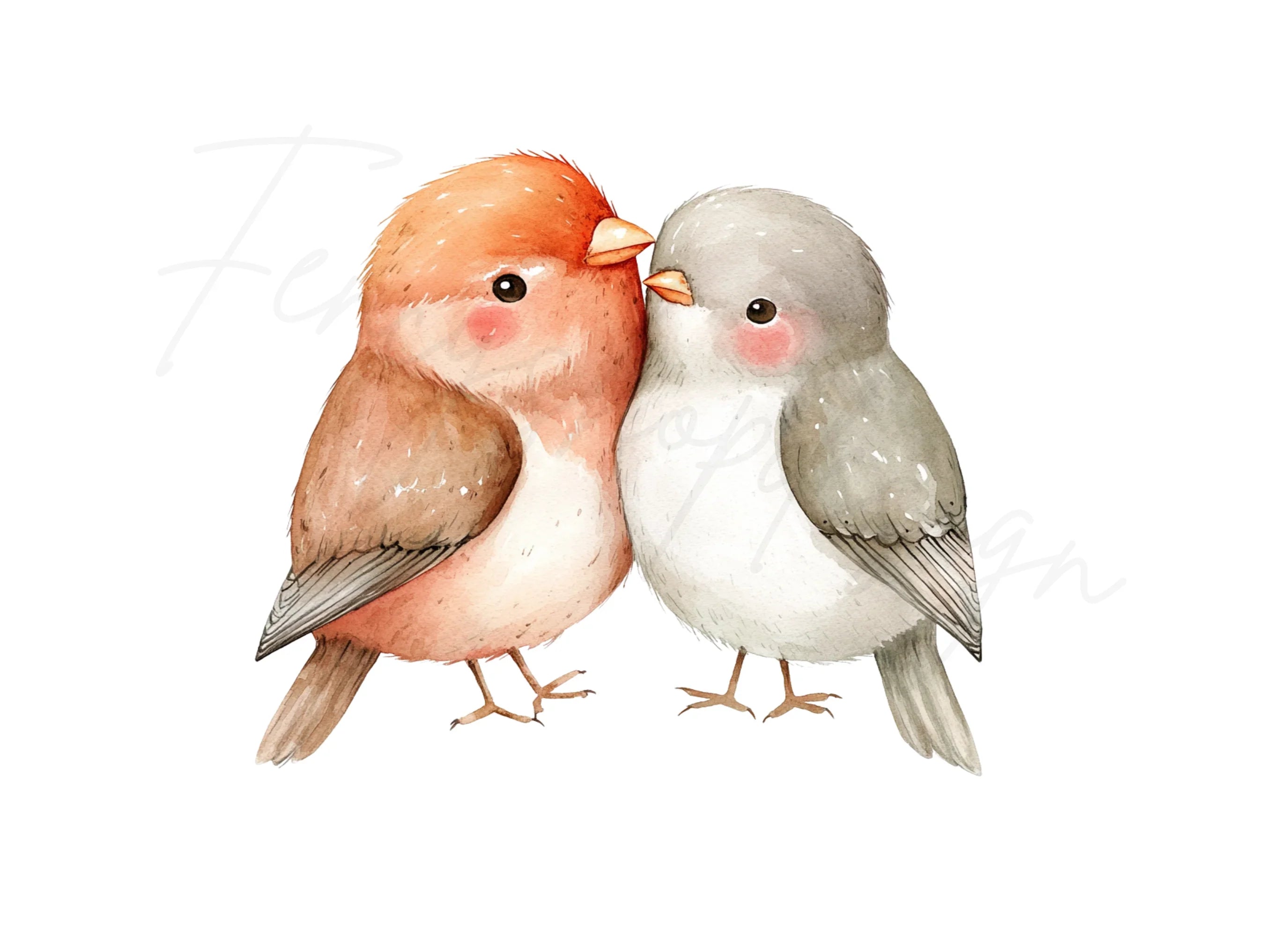 Cute Love Birds Clipart Bundle