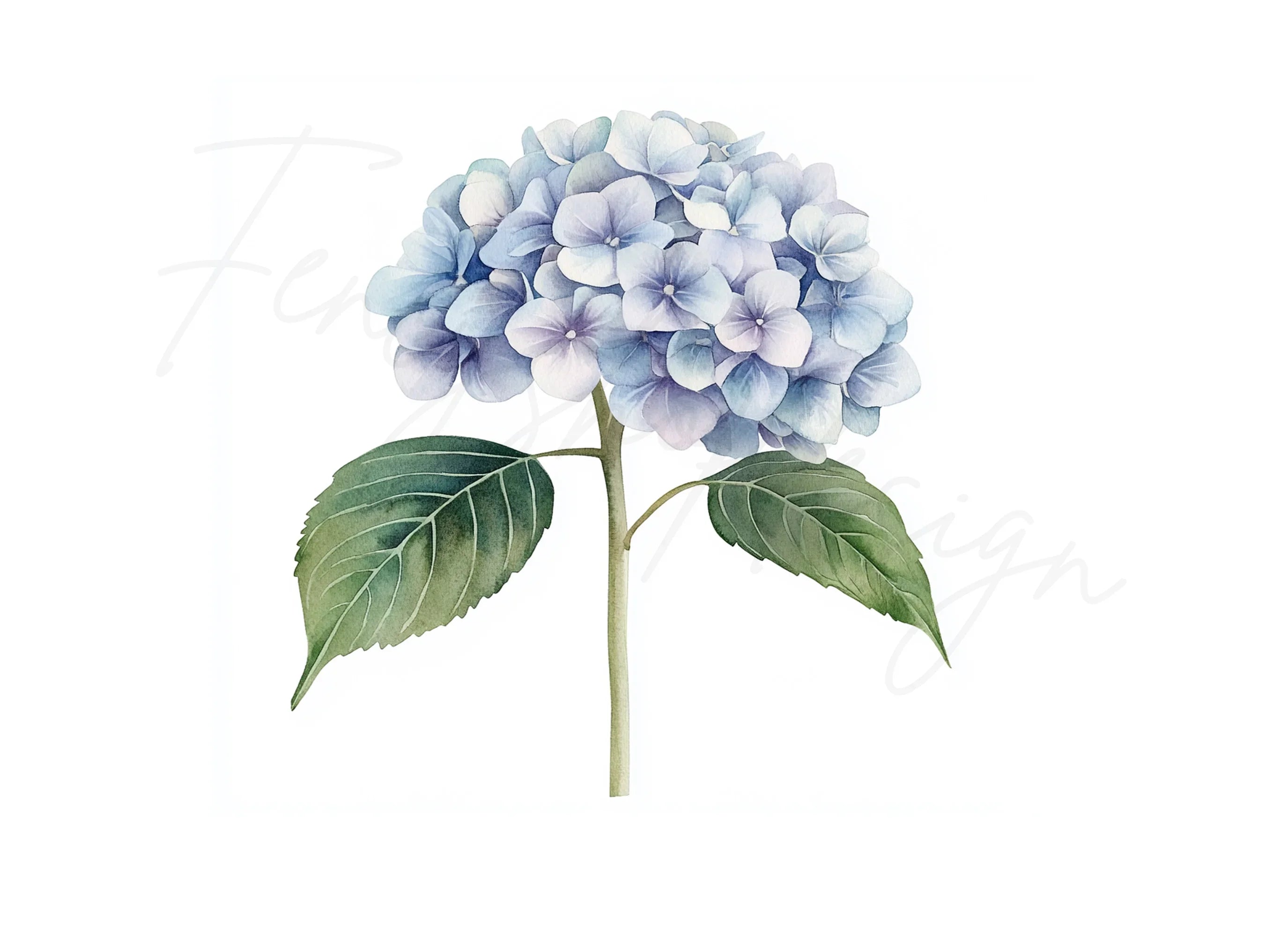 Blue Hydrangea Clipart Bundle