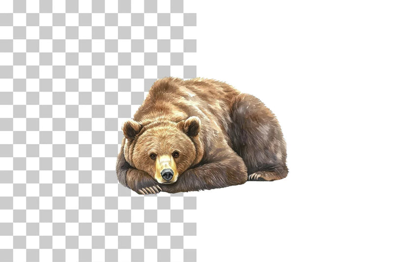 Grizzly Bear Wildlife Clipart Bundle - CraftNest - Digital Crafting and Art