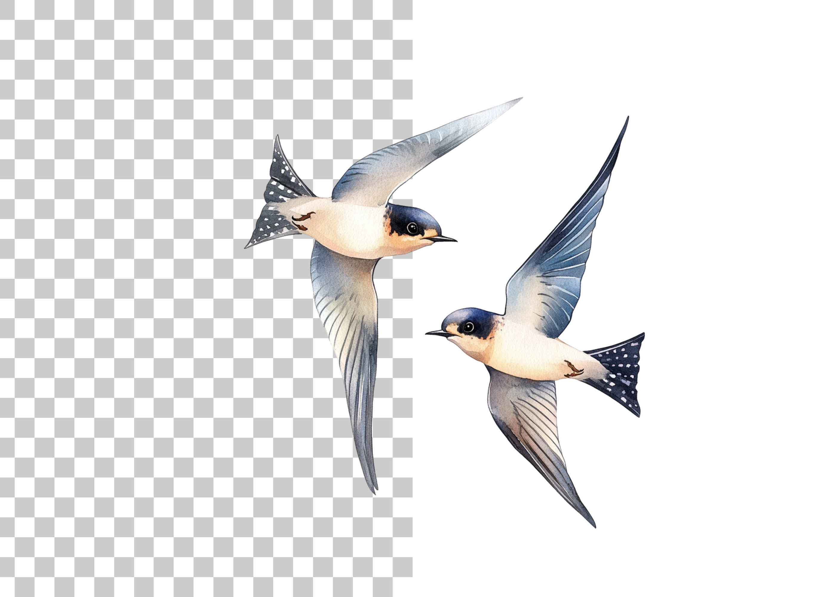 Flying Swallow Birds Clipart Bundle