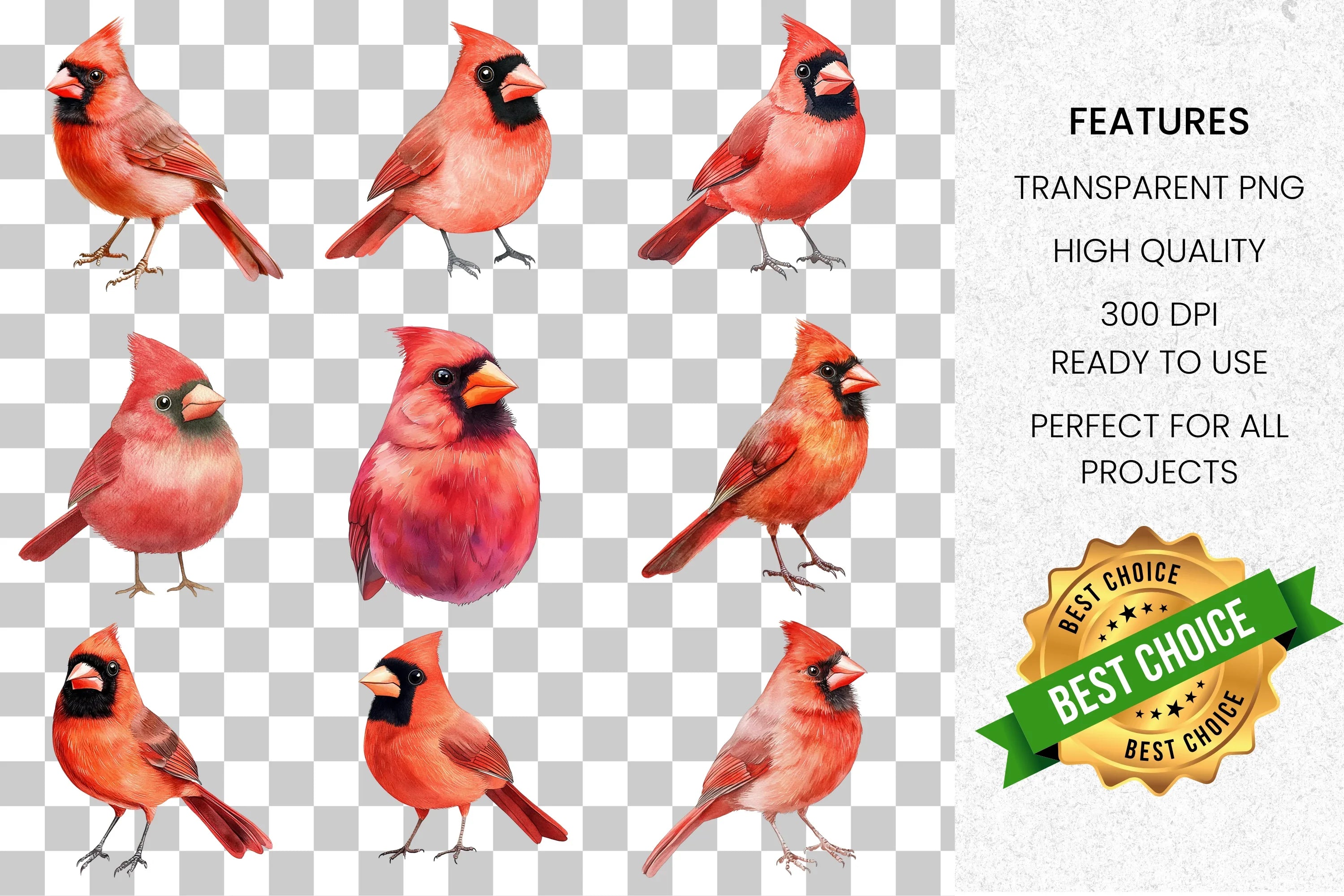 Red Cardinal Bird Clipart Bundle