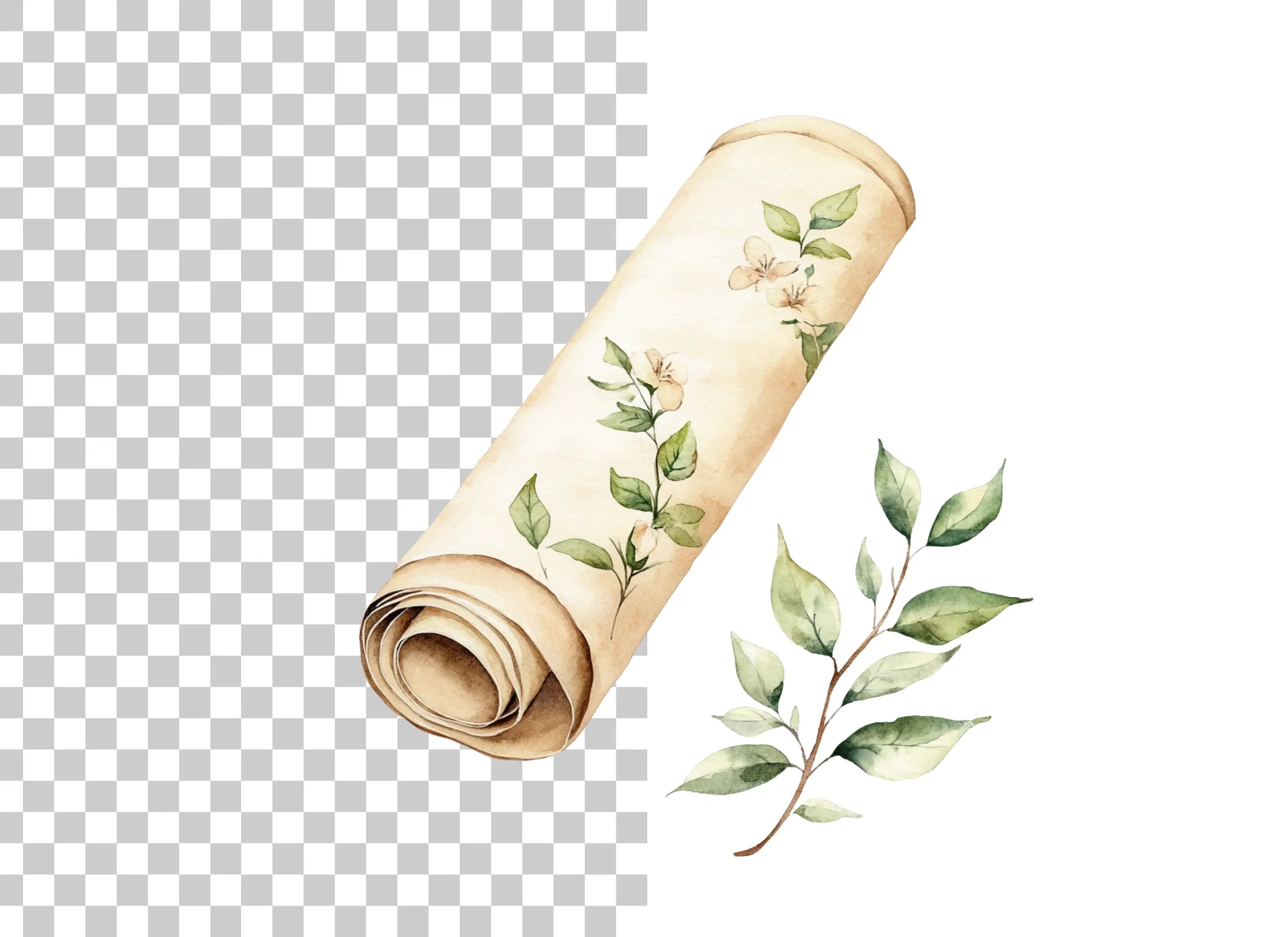 Floral Scroll Clipart Bundle