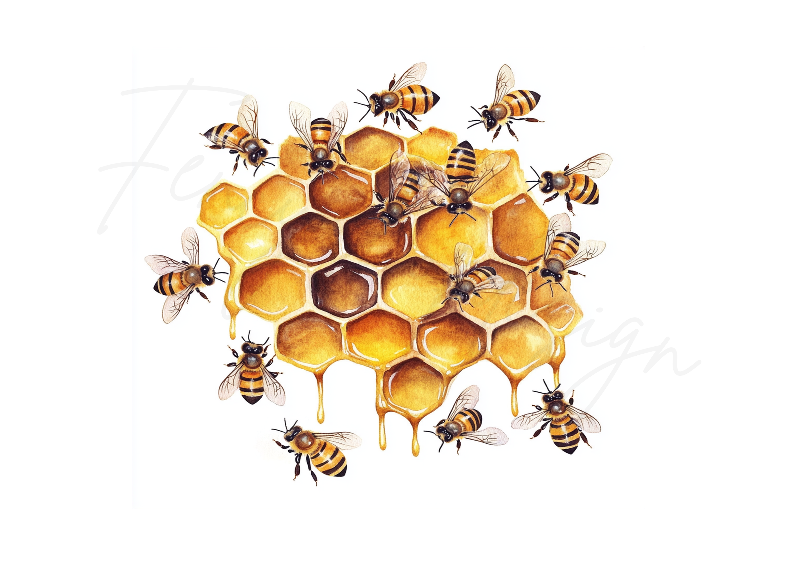 Busy Bees on Honeycomb Clipart Bundle