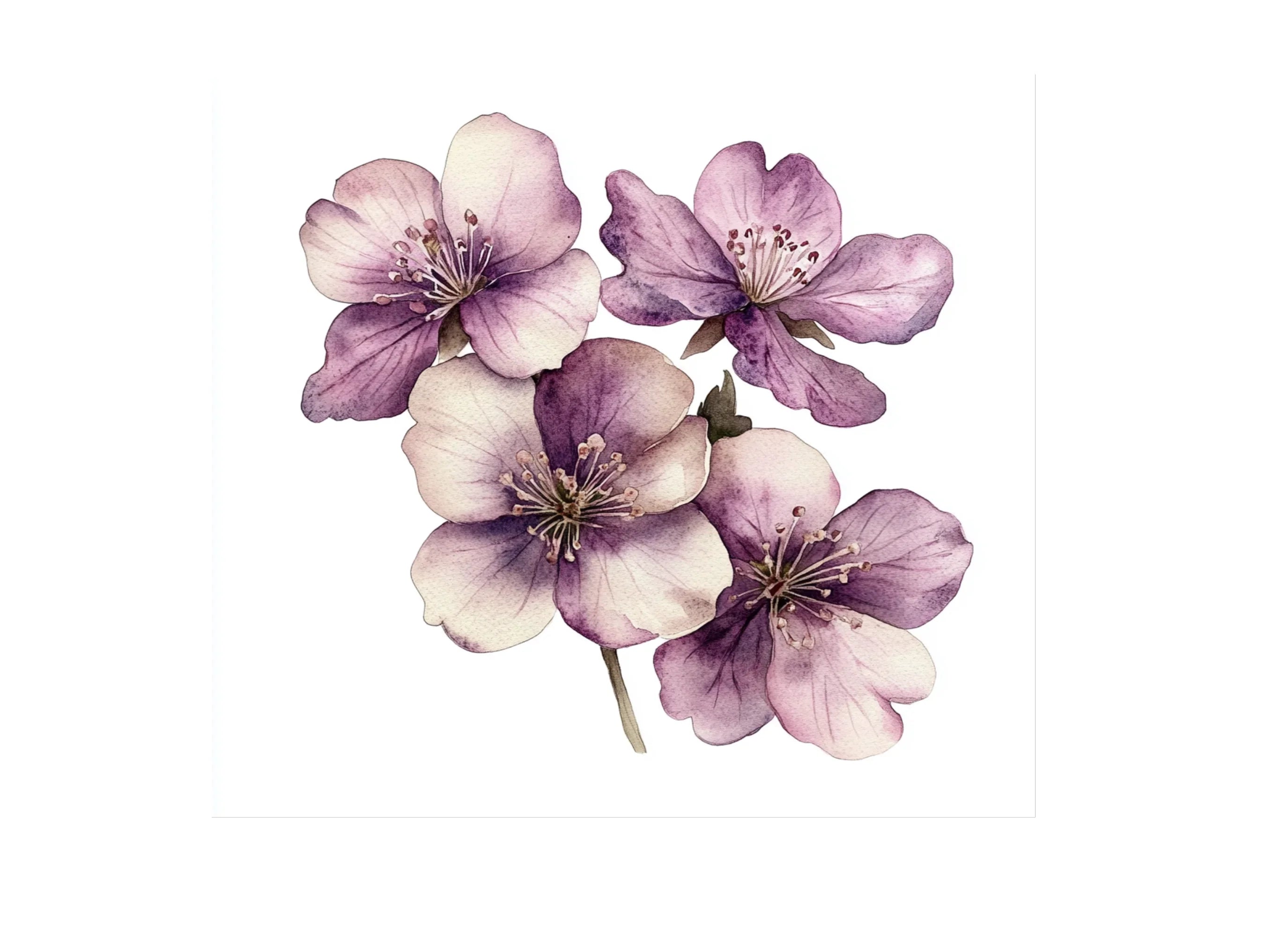 Elegant Floral Clipart Bundle