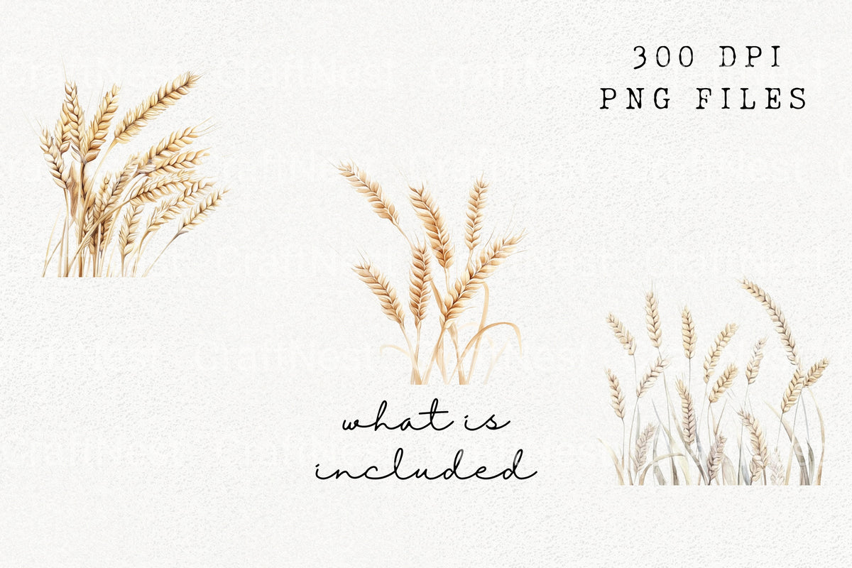 Neutral Wheat Stalks Clipart Bundle