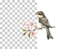 Cute Animals and Spring Floral Clipart Bundle - CraftNest - Digital Crafting and Art