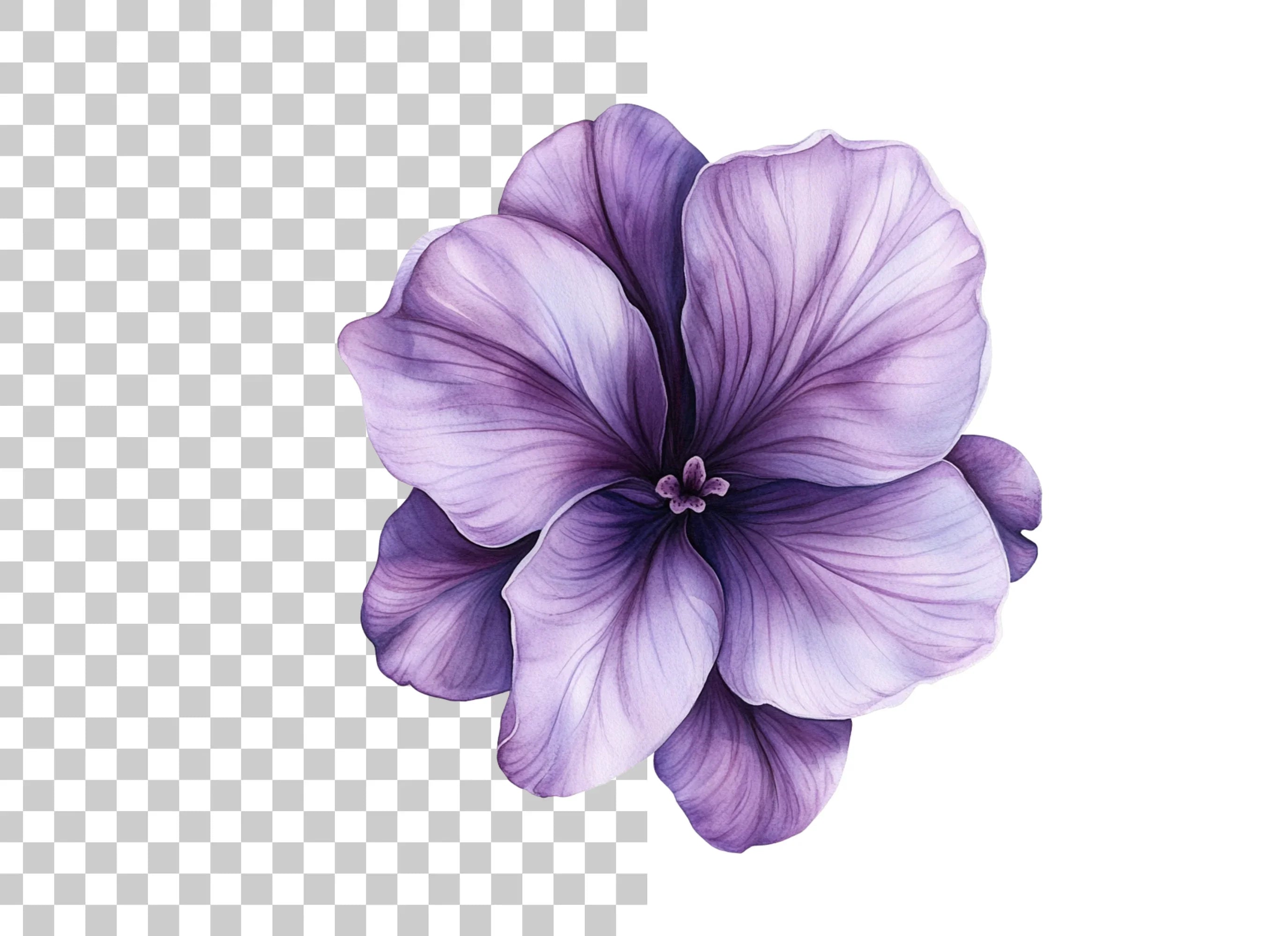 Vibrant Purple Geranium Clipart Bundle