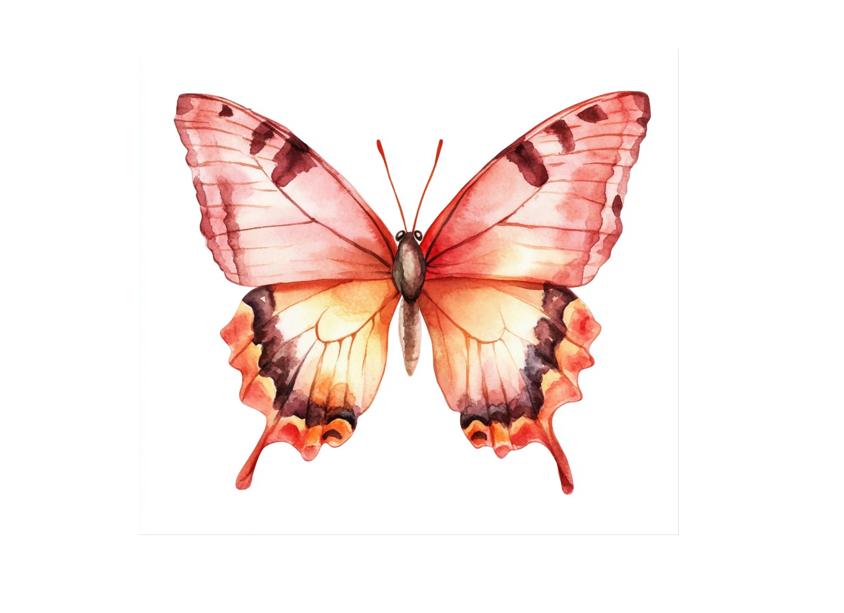 Elegant Butterfly and Rose Clipart Bundle