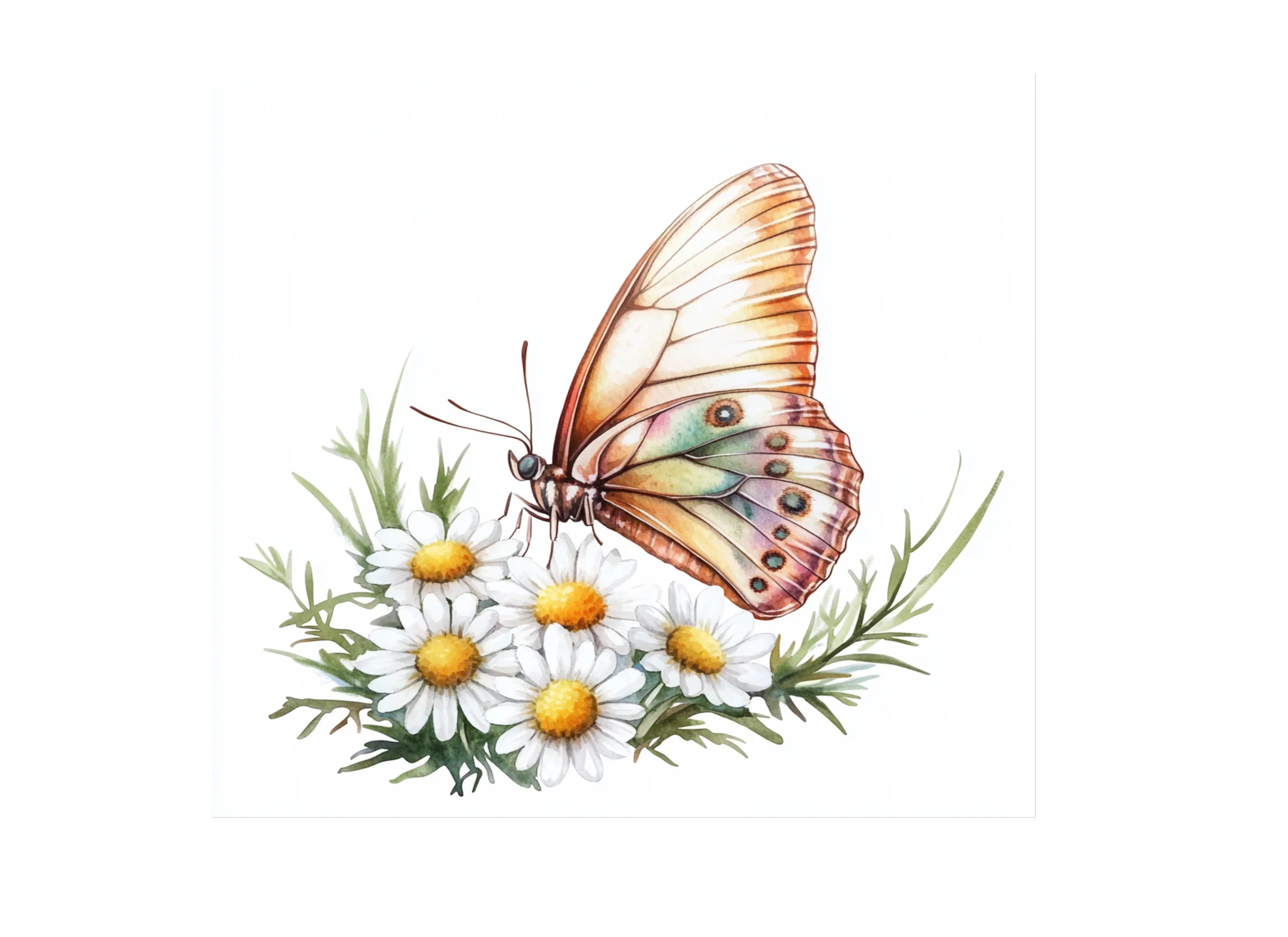 Colorful Butterflies and Daisies Clipart Bundle
