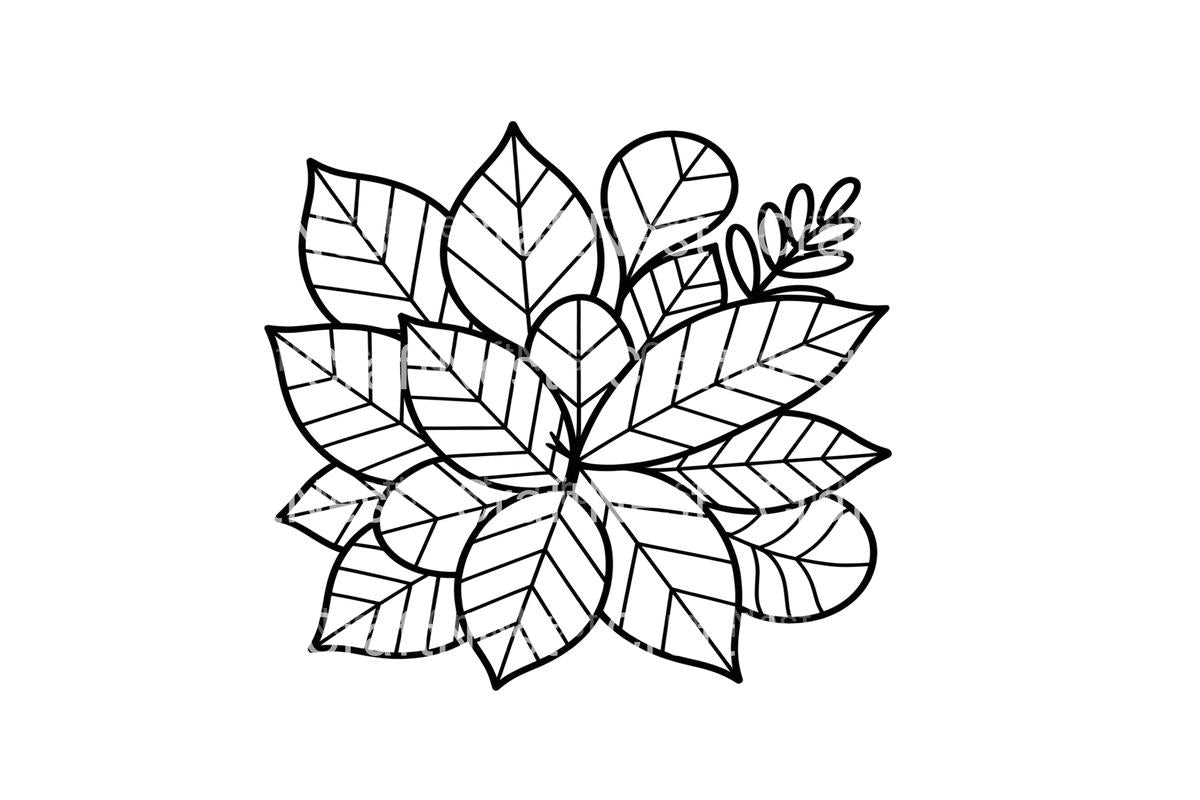Autumn Leaves Coloring Books