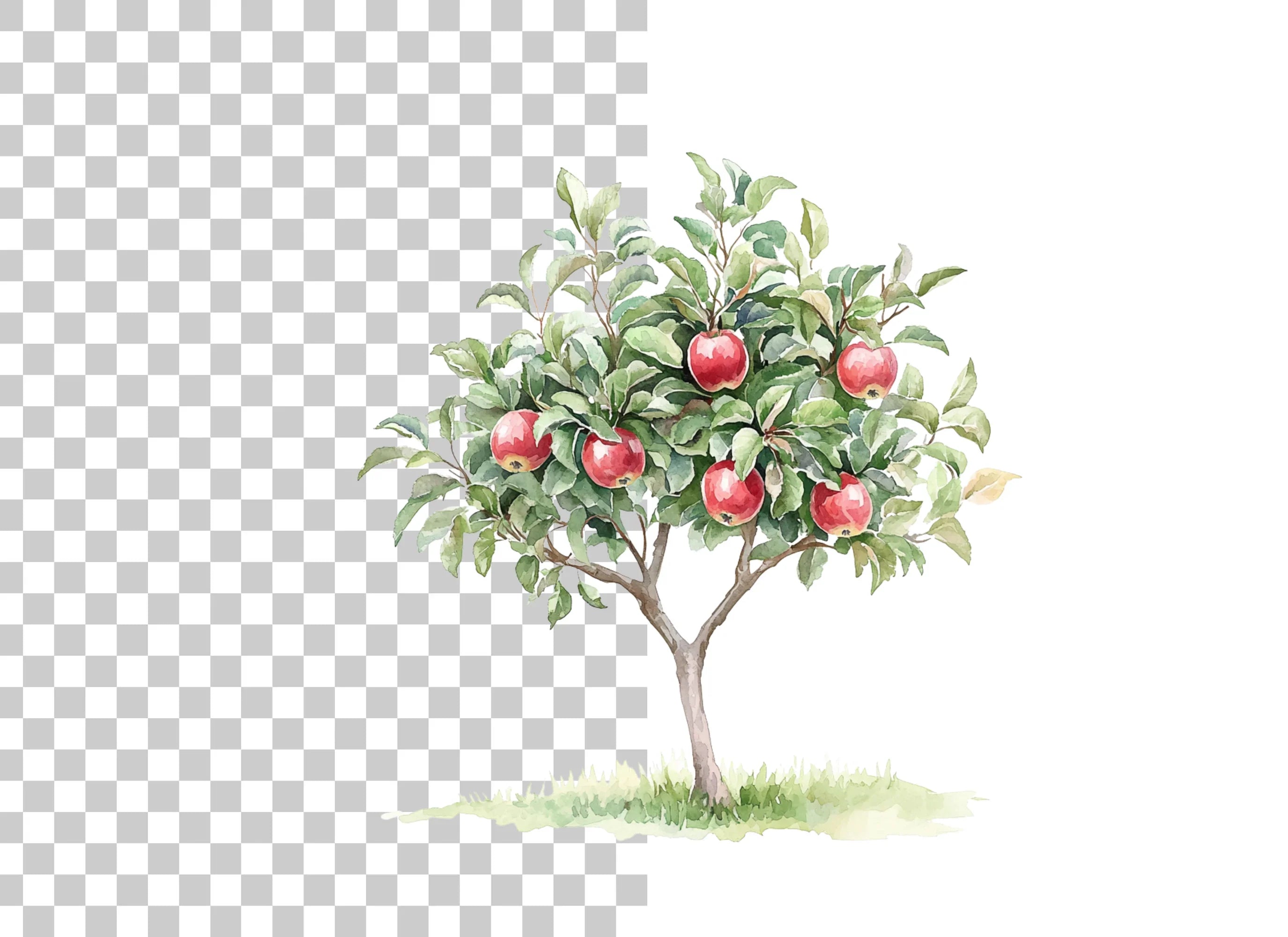 Red Apple Orchard Clipart Bundle