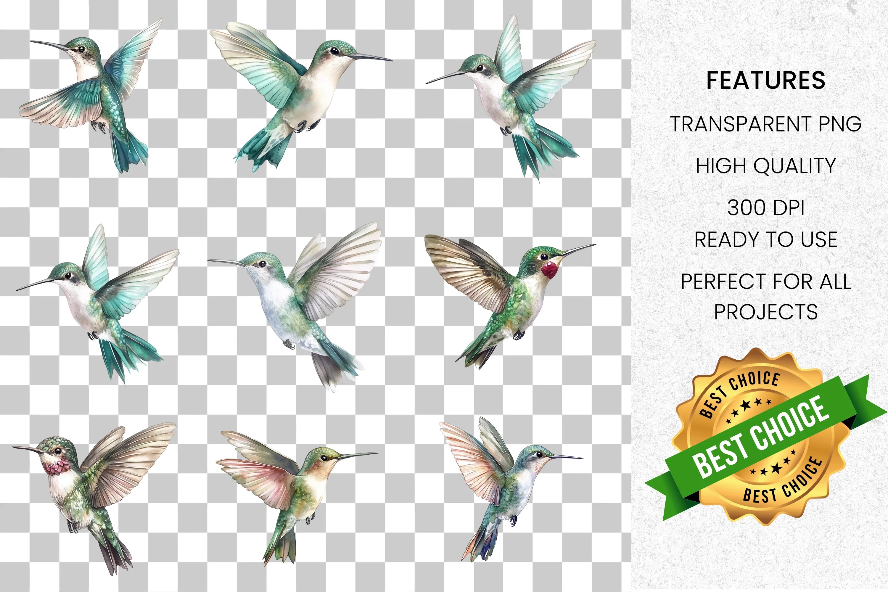 Vibrant Hummingbird Clipart Bundle