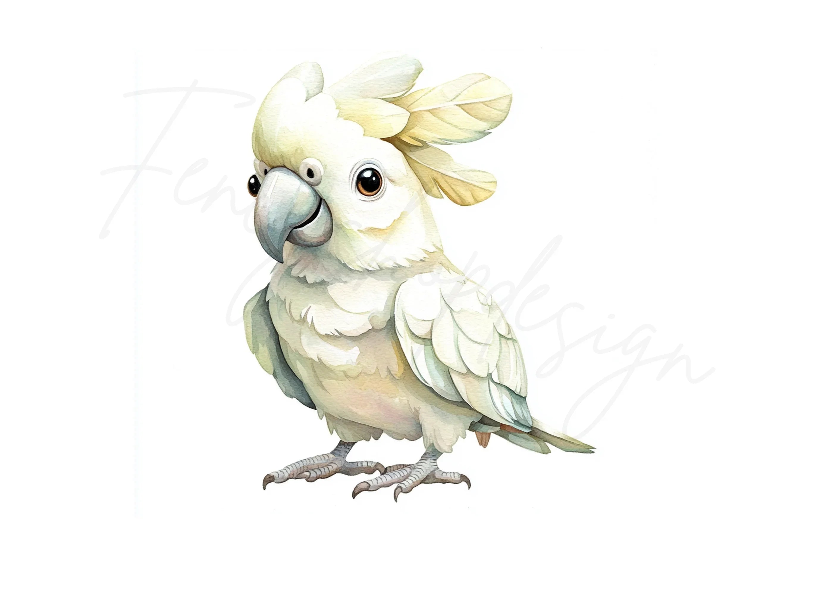 Cute White Cockatoo Clipart Bundle
