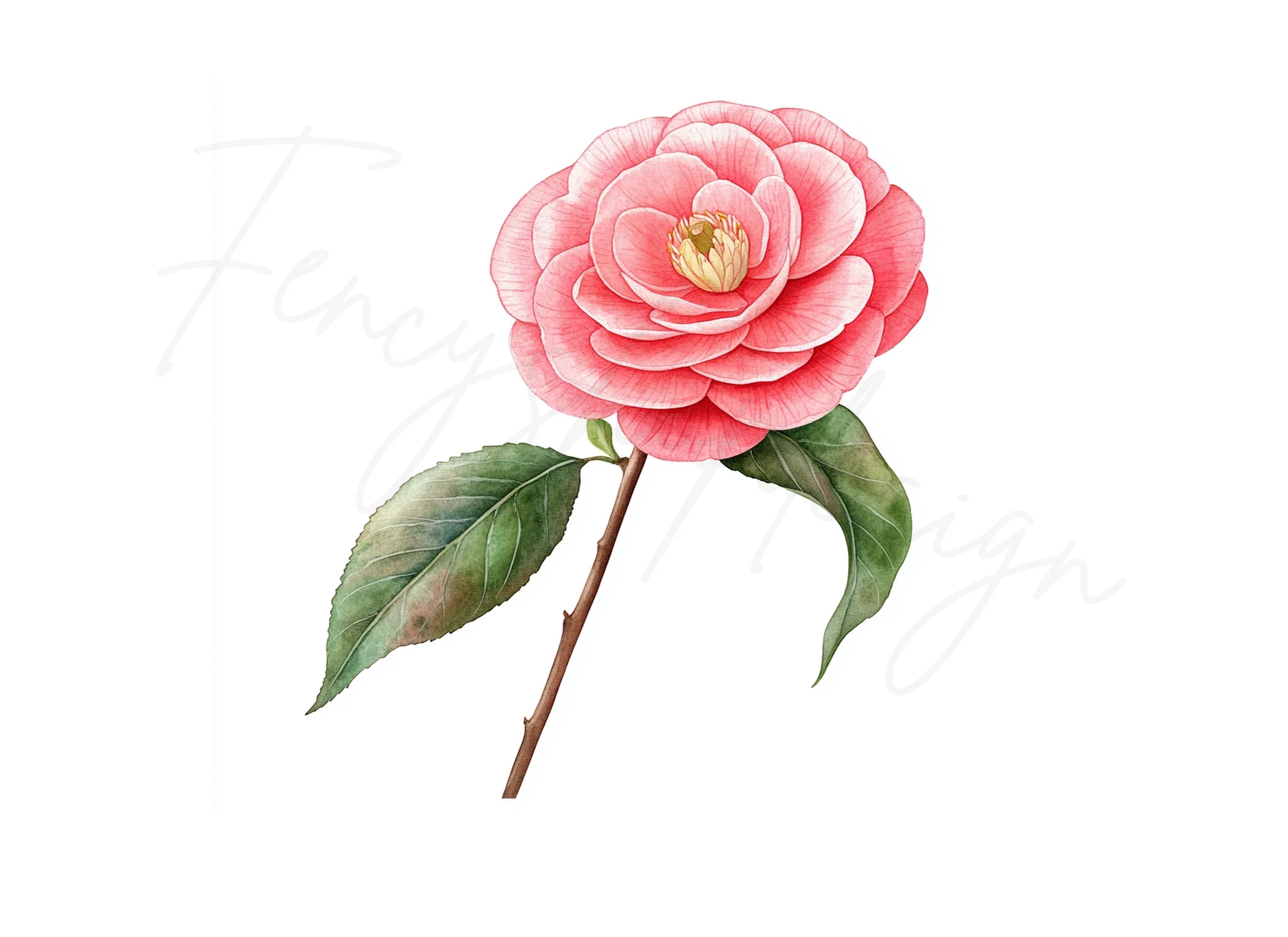 Vibrant Red Camellia Blossom Clipart Bundle