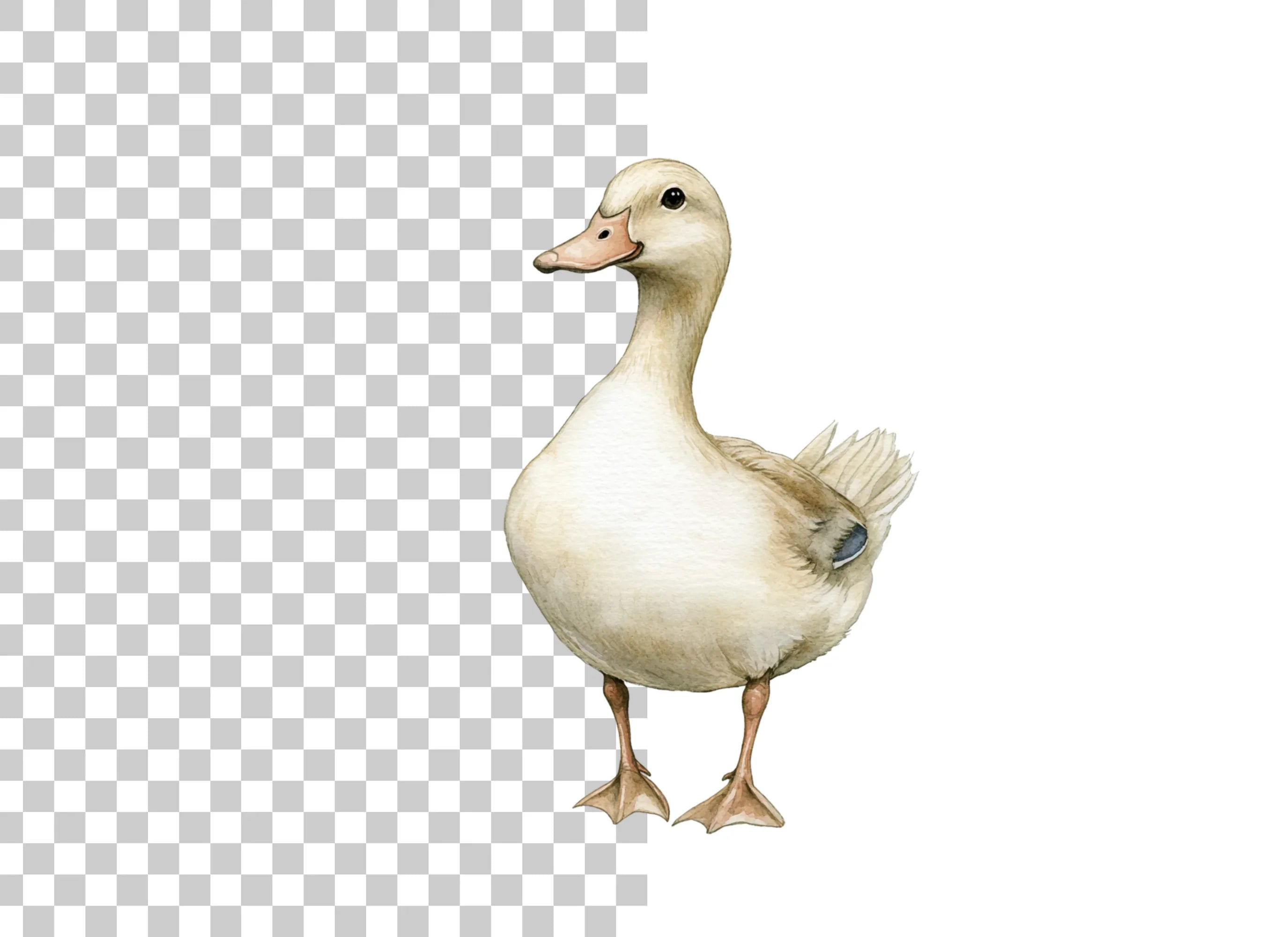 Cute Duck Clipart Bundle