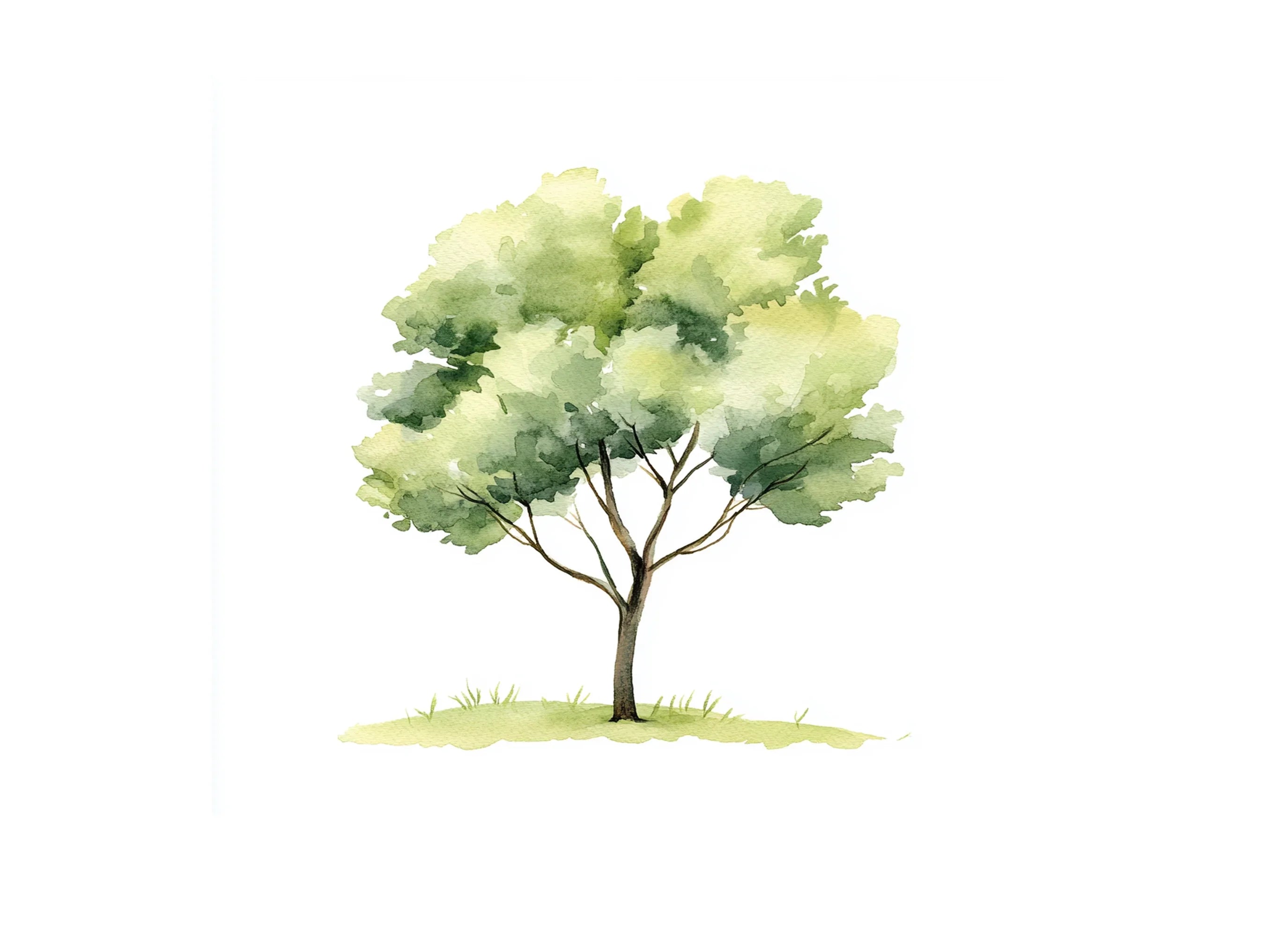 Green Trees Clipart Bundle