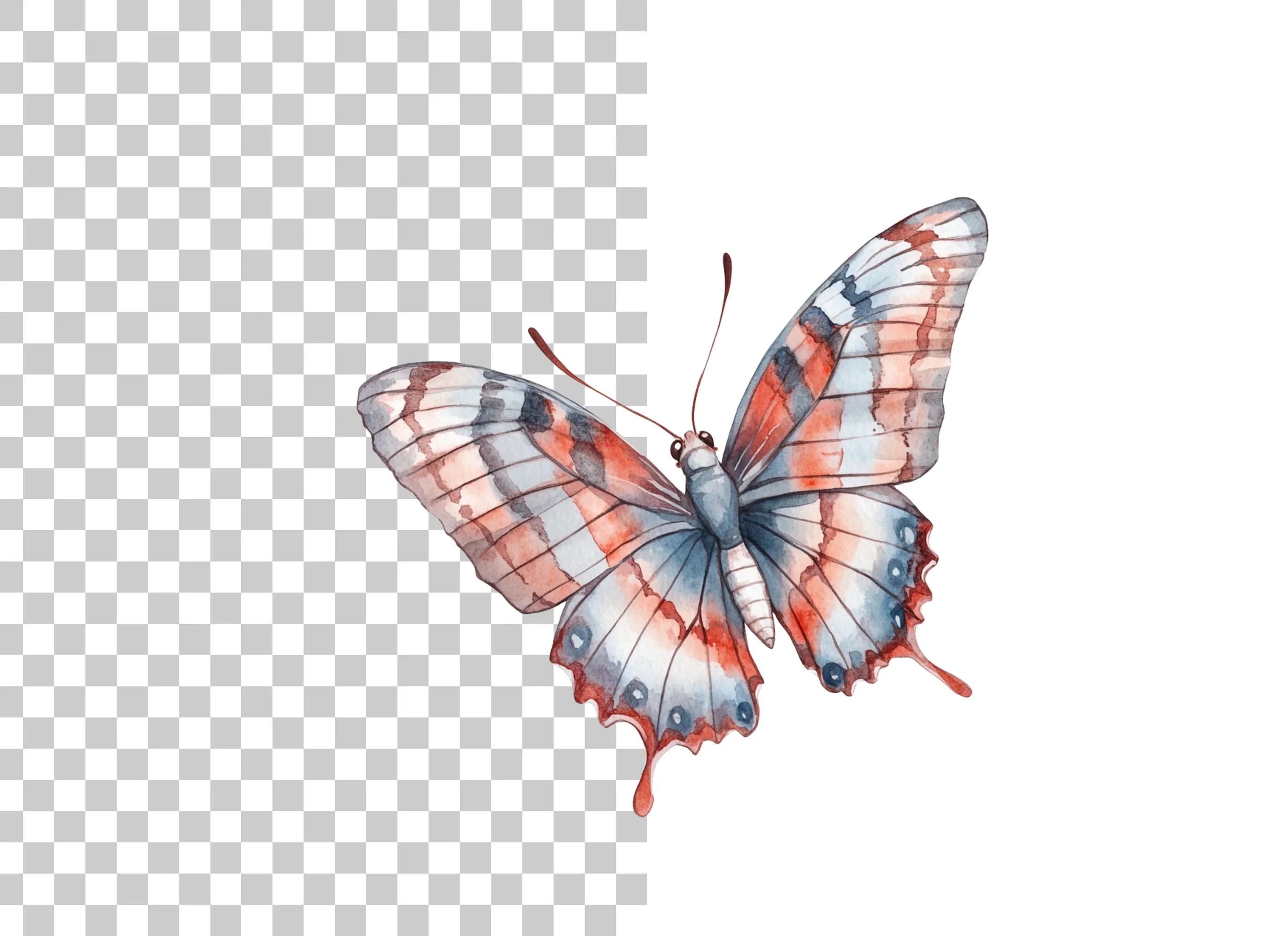 Butterfly Clipart Bundle