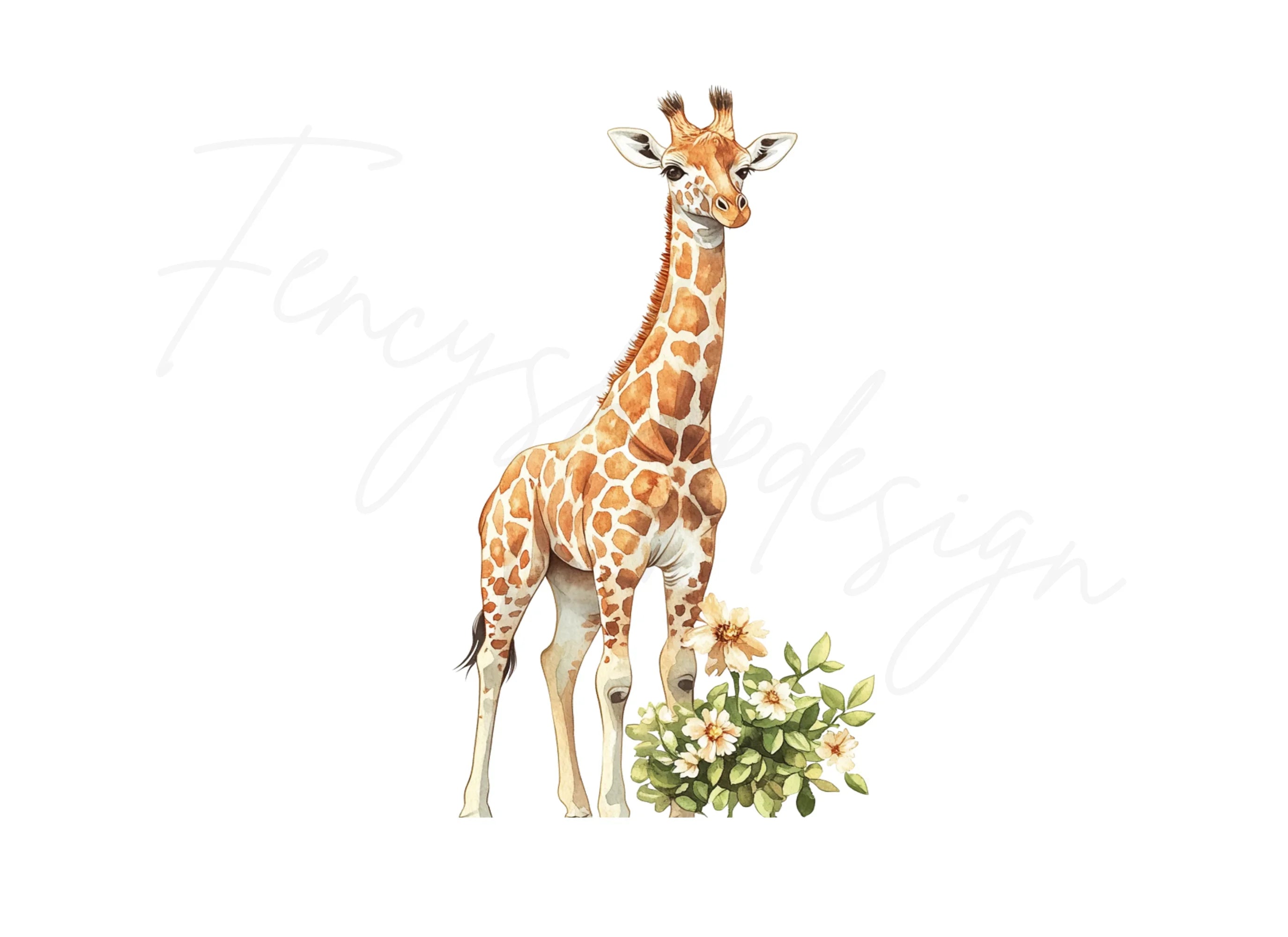 Baby Giraffe with Flowers Clipart Bundle