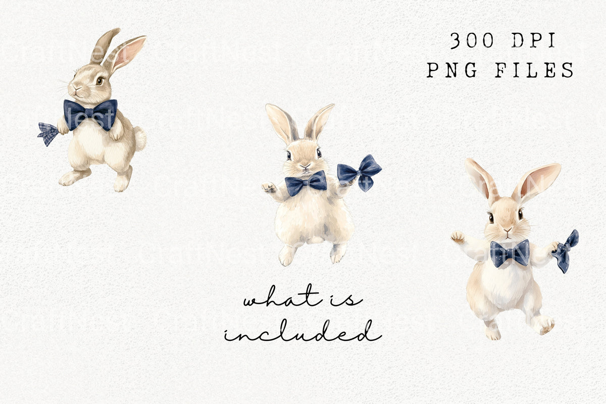 Pastel Carrots And Bow Clipart Bundle