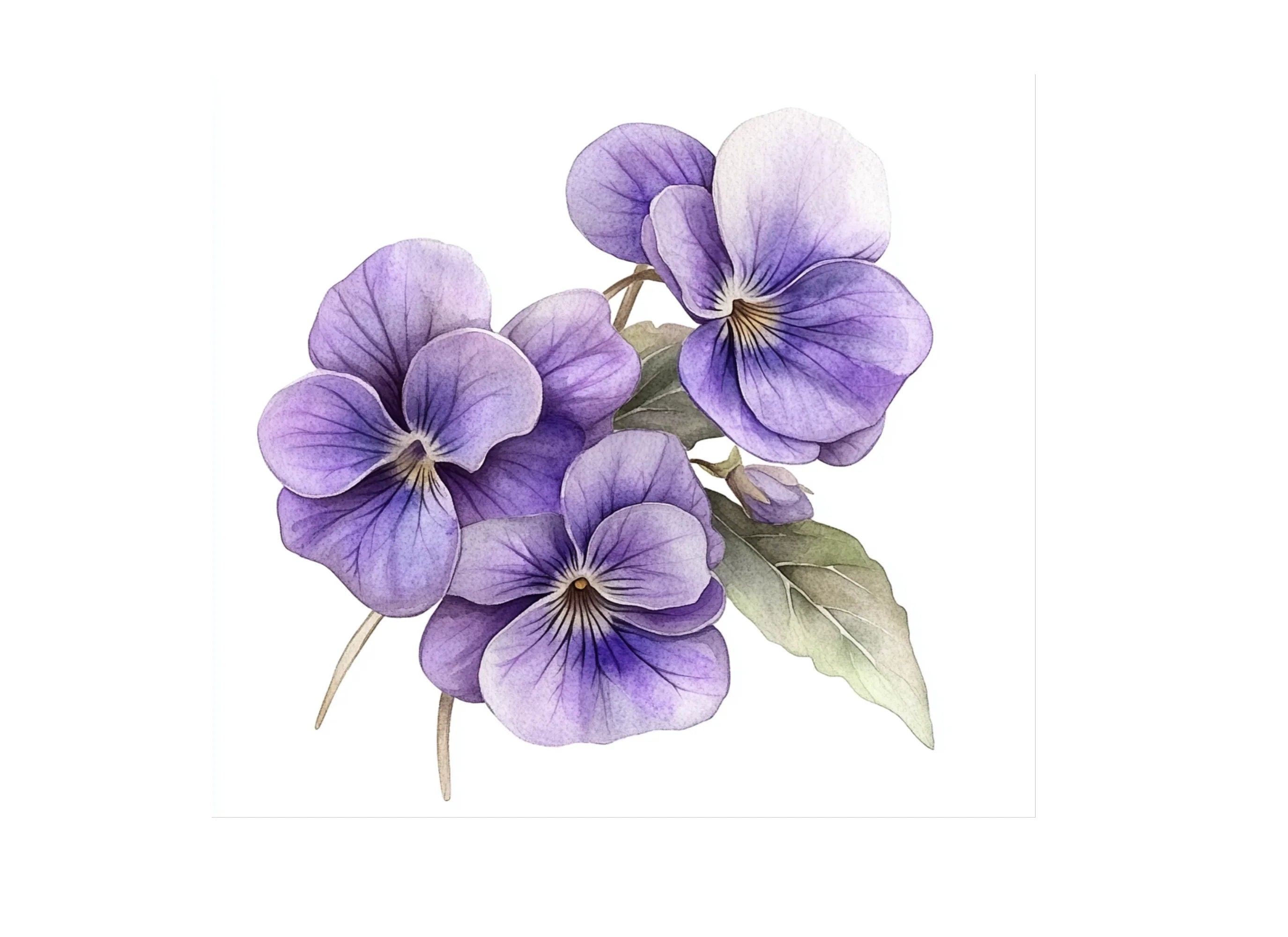 Violet Flower Clipart Bundle
