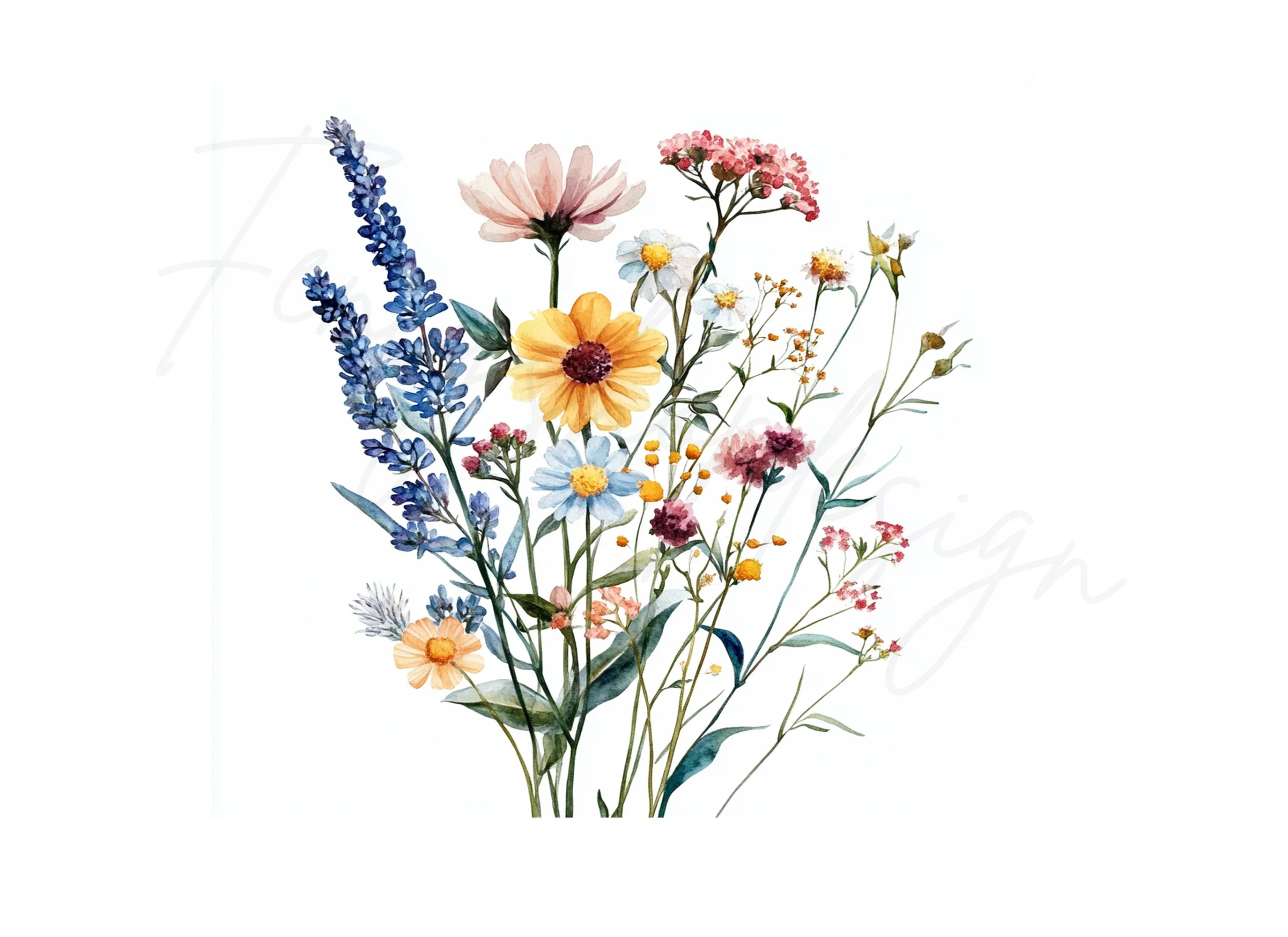 Delicate Wildflower Bouquet Illustrations Clipart Bundle