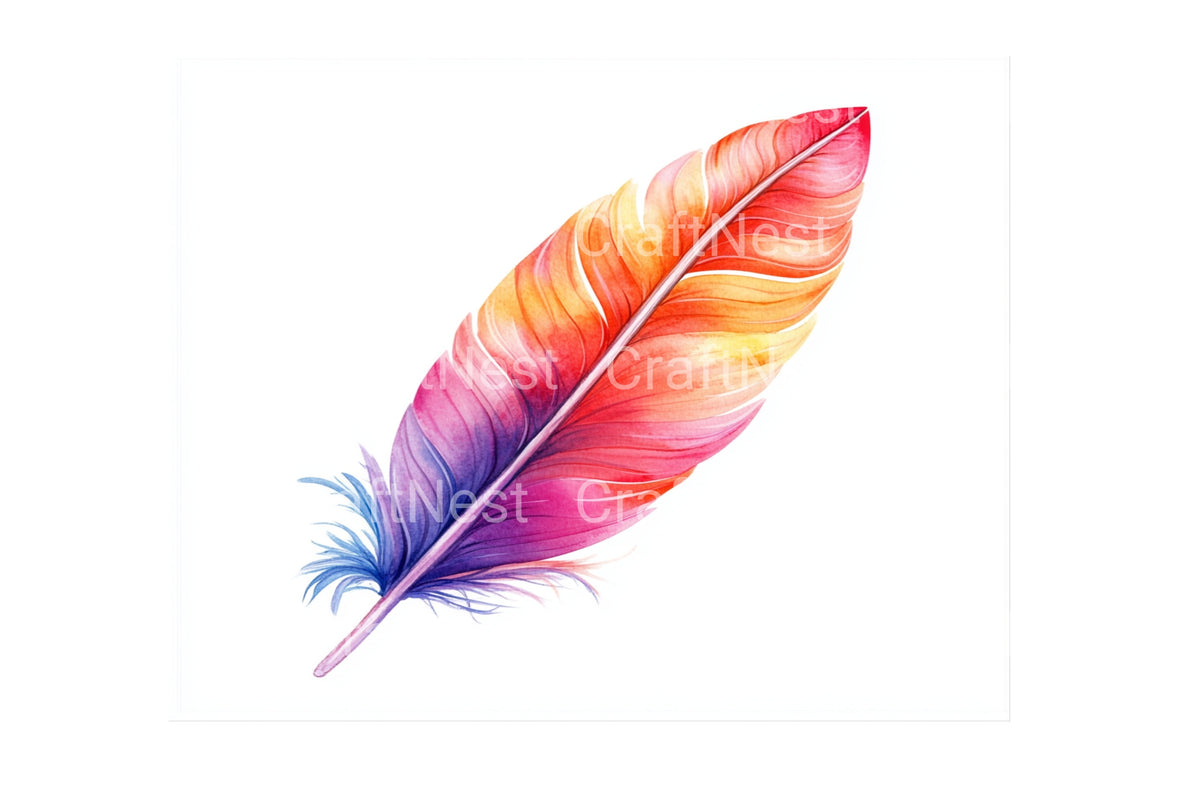 Rainbow Feathers Clipart Bundle