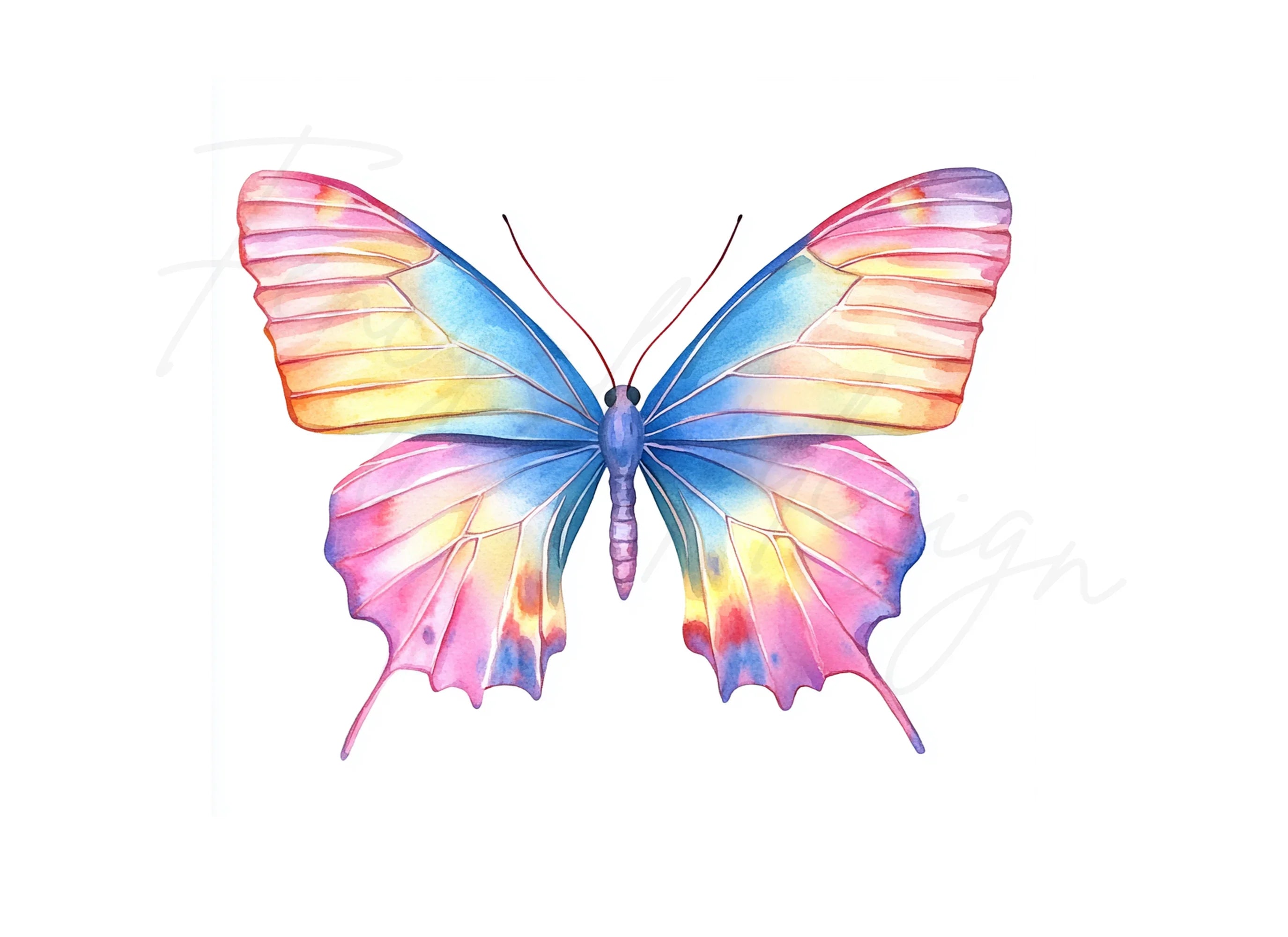 Vibrant Butterfly Clipart Bundle