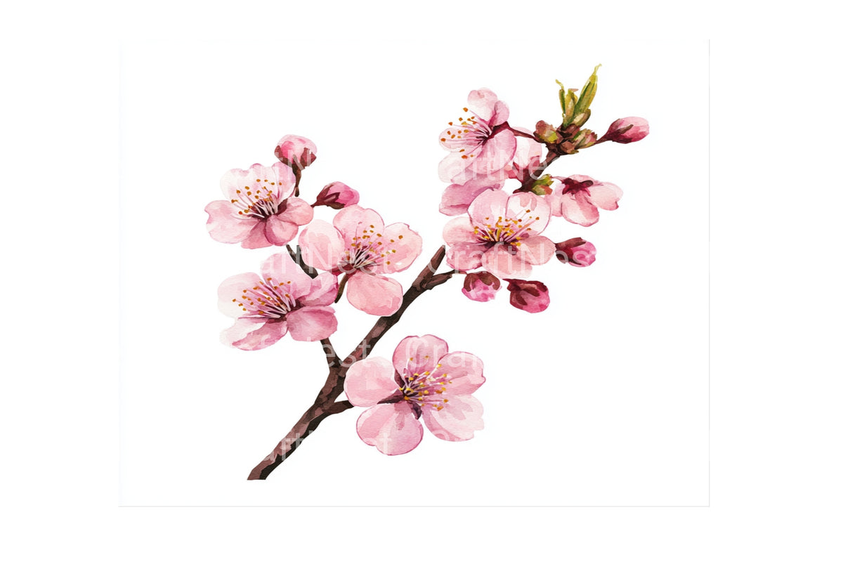 Delicate Pink Cherry Blossom Artwork Clipart Bundle