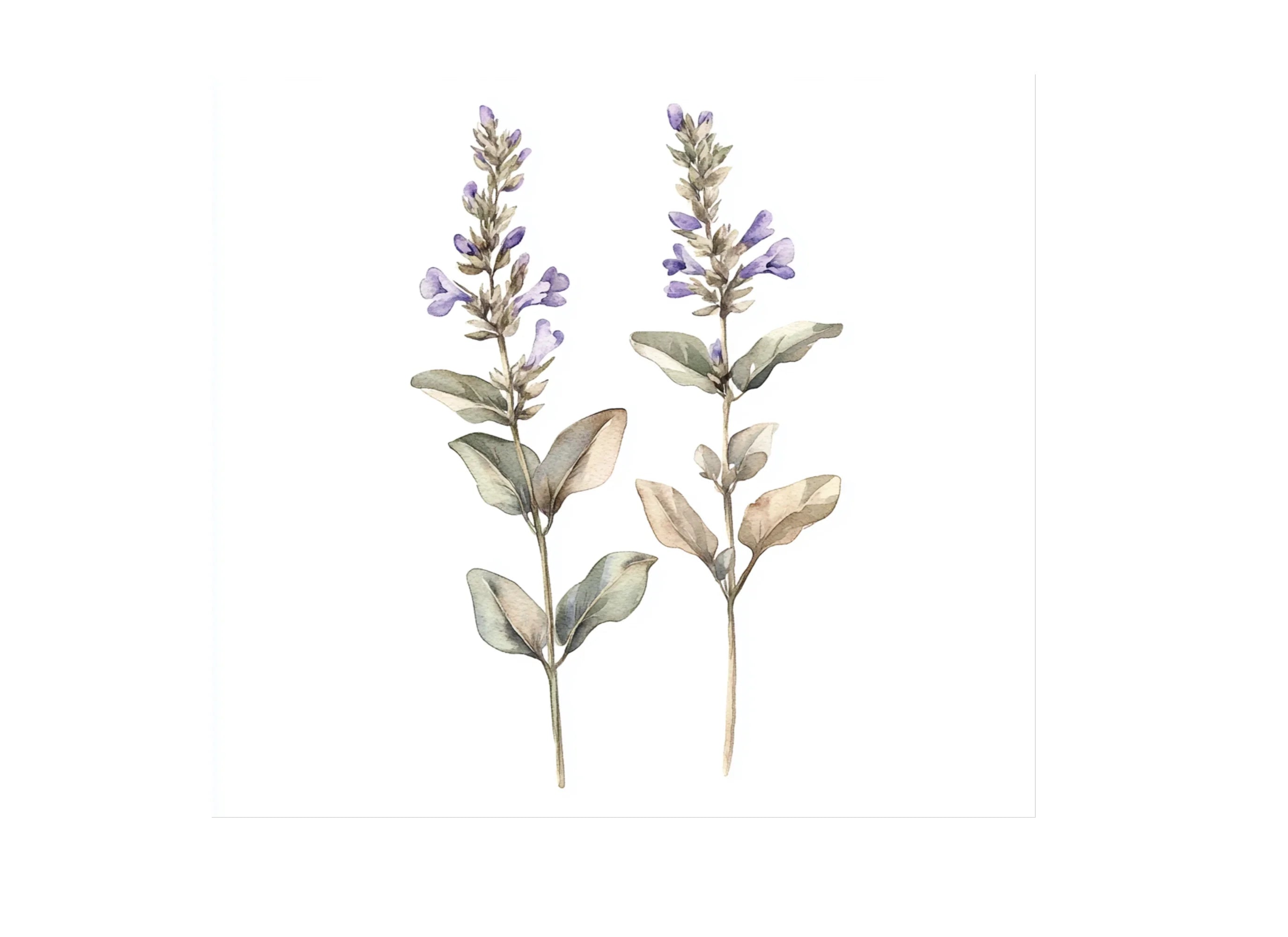 Purple Leaves and Floral Clipart Bundle