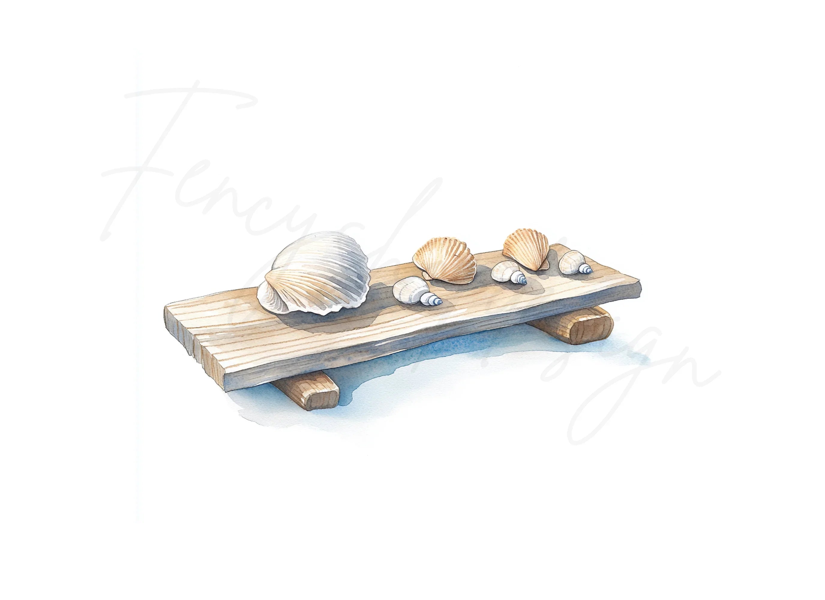 Seashells on Wooden Planks Clipart Bundle