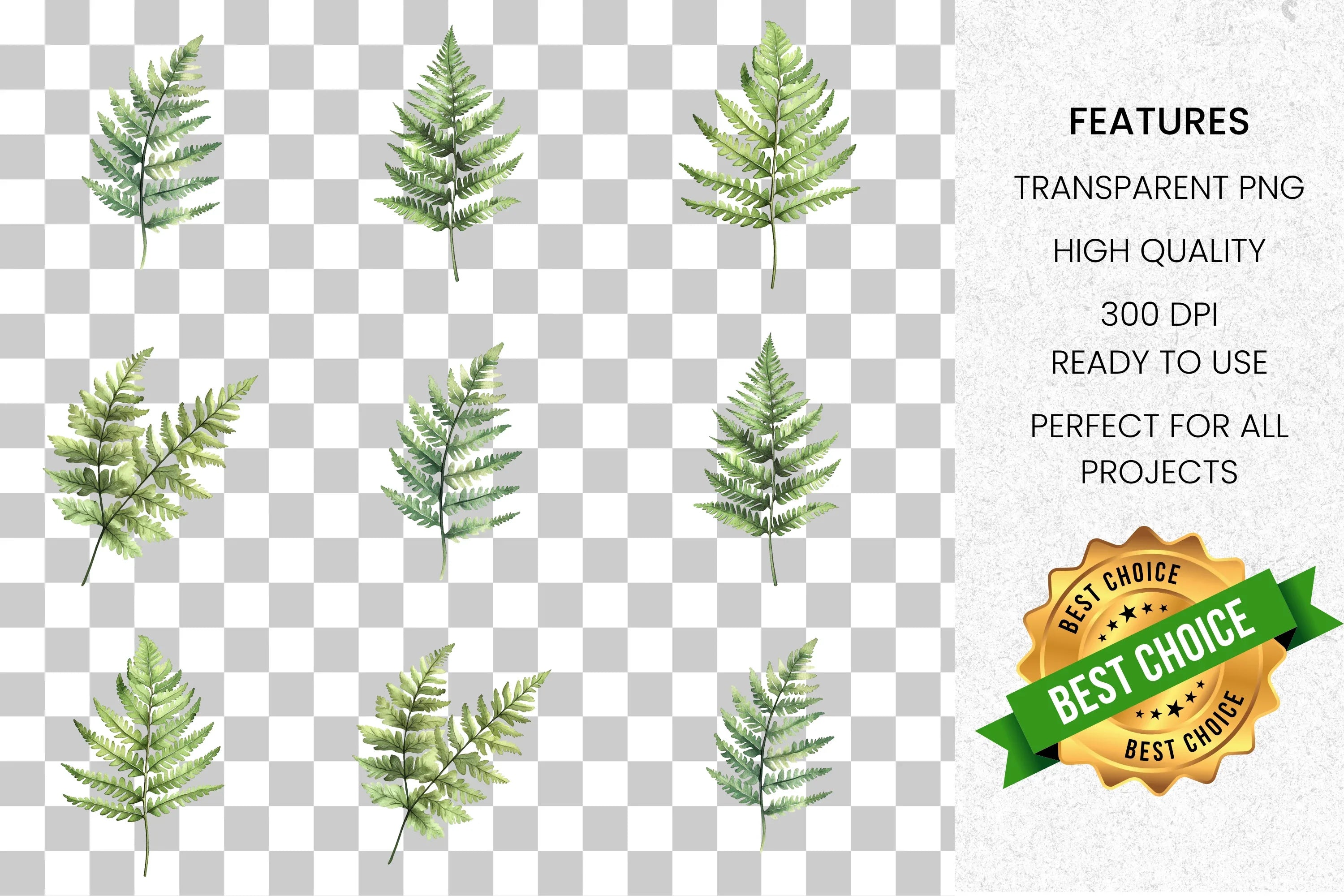 Green Fern Leaves Clipart Bundle