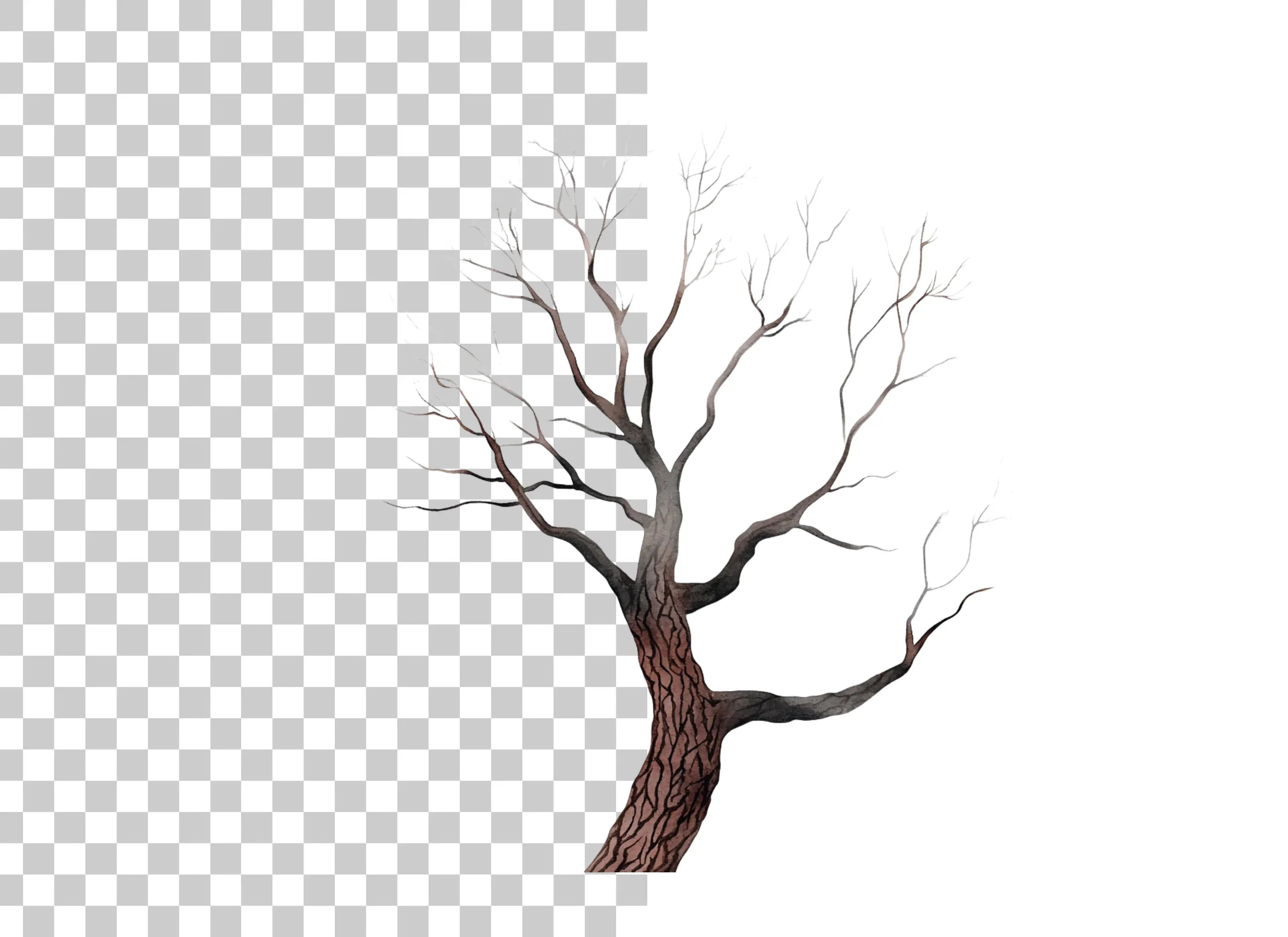 Bare Tree Branches Clipart Bundle