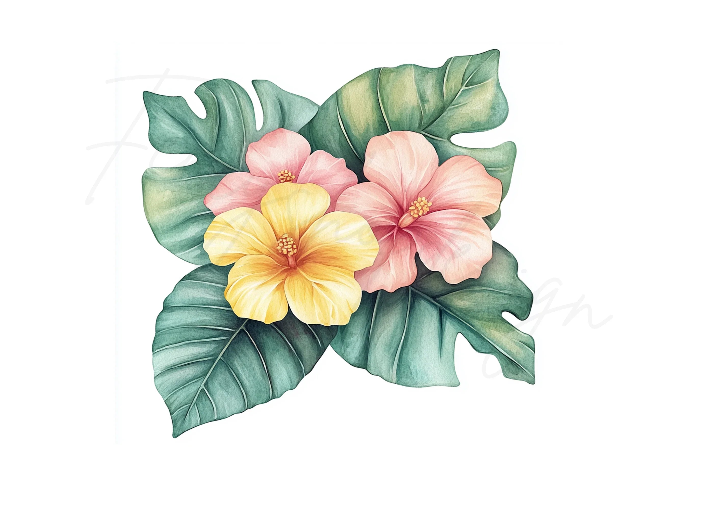 Tropical Hibiscus Flower Clipart Bundle