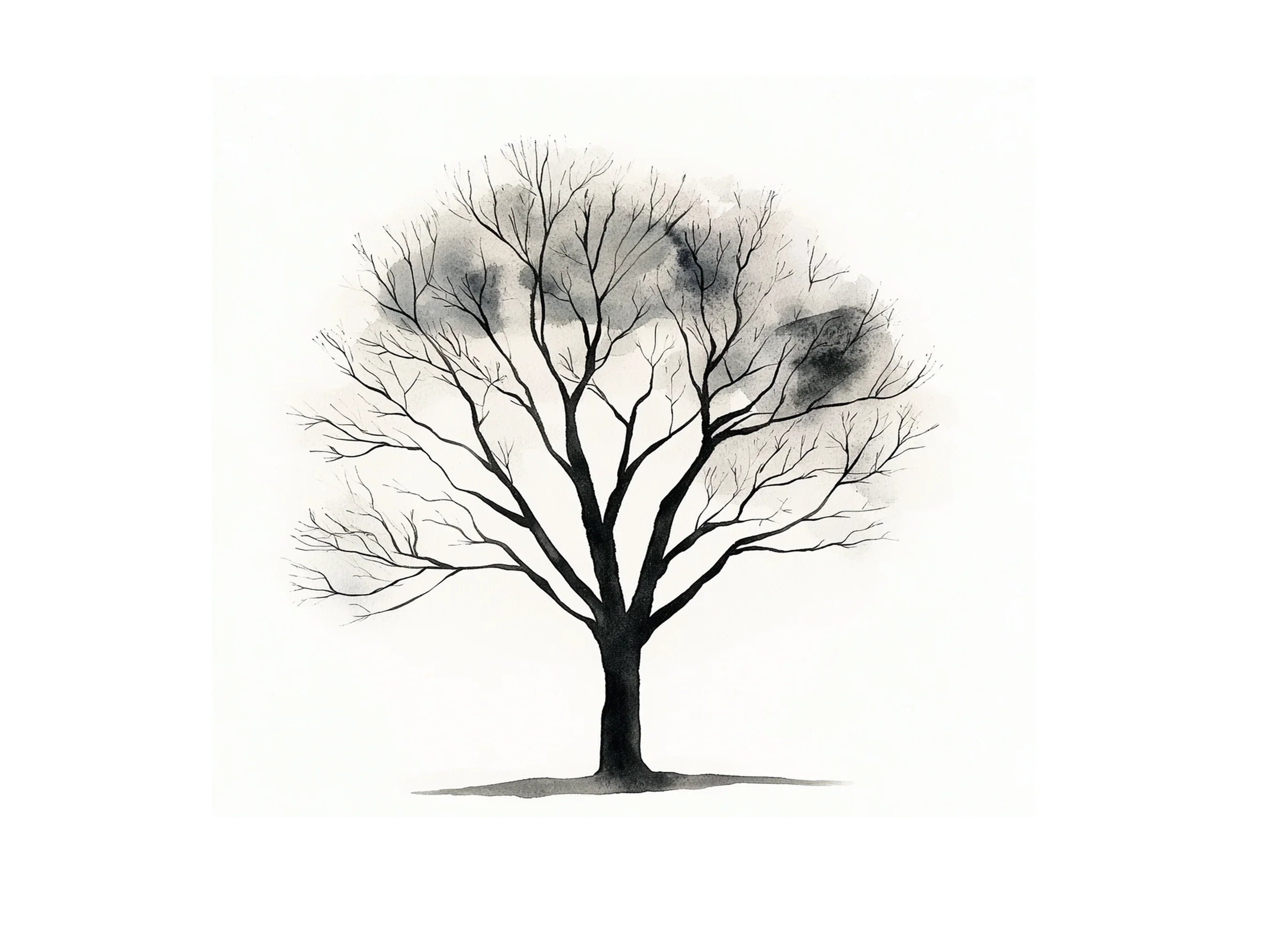 Tree Clipart Bundle