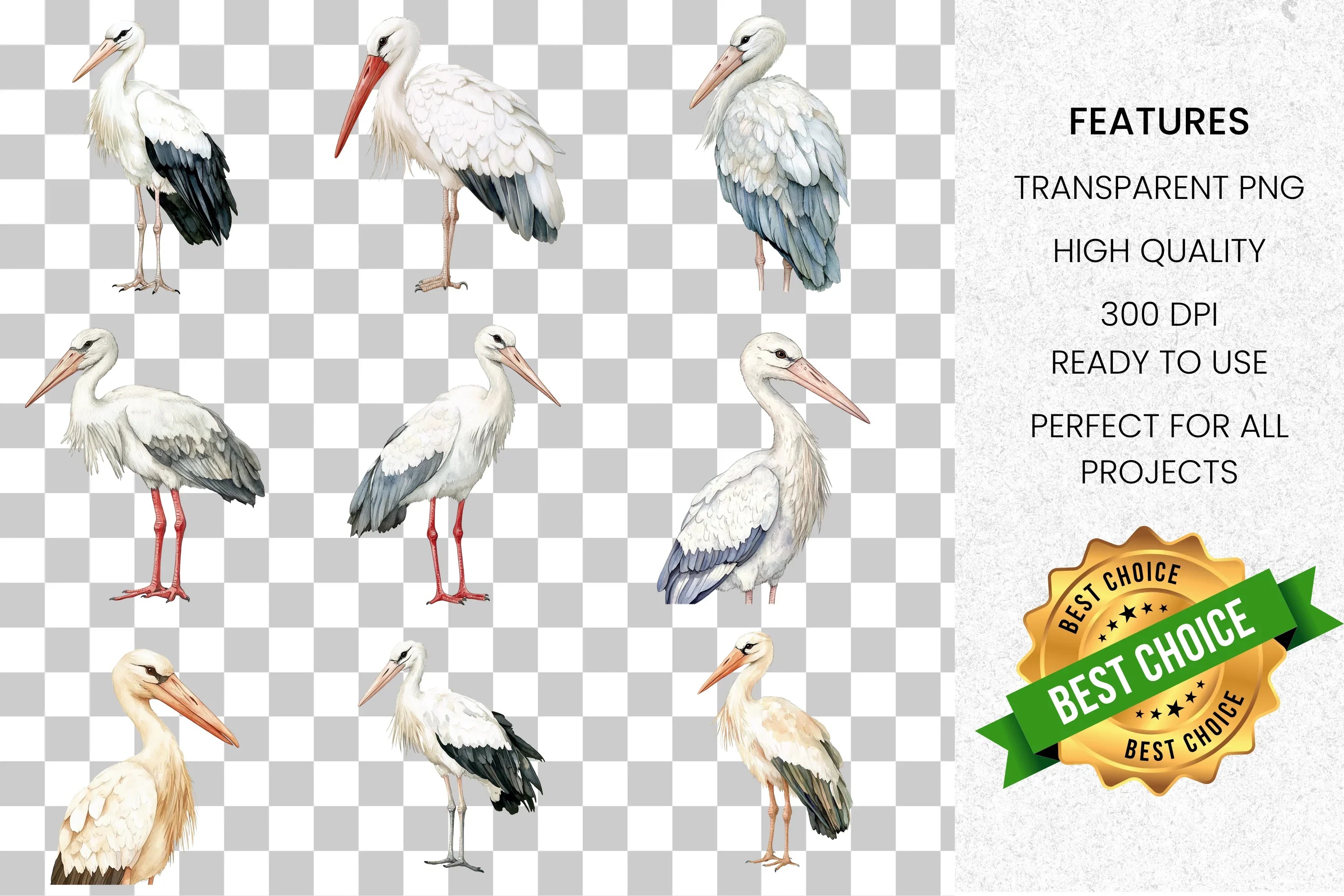 Elegant Stork Bird Clipart Bundle
