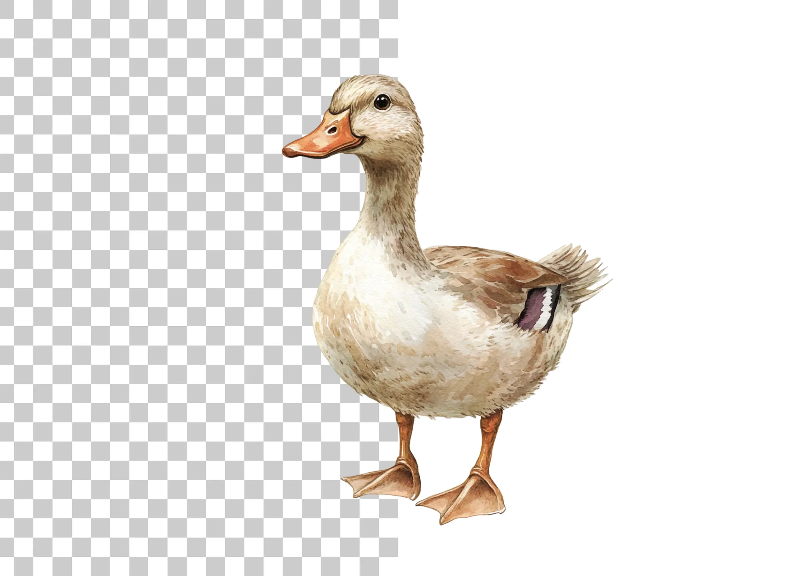 Cute Duck Clipart Bundle