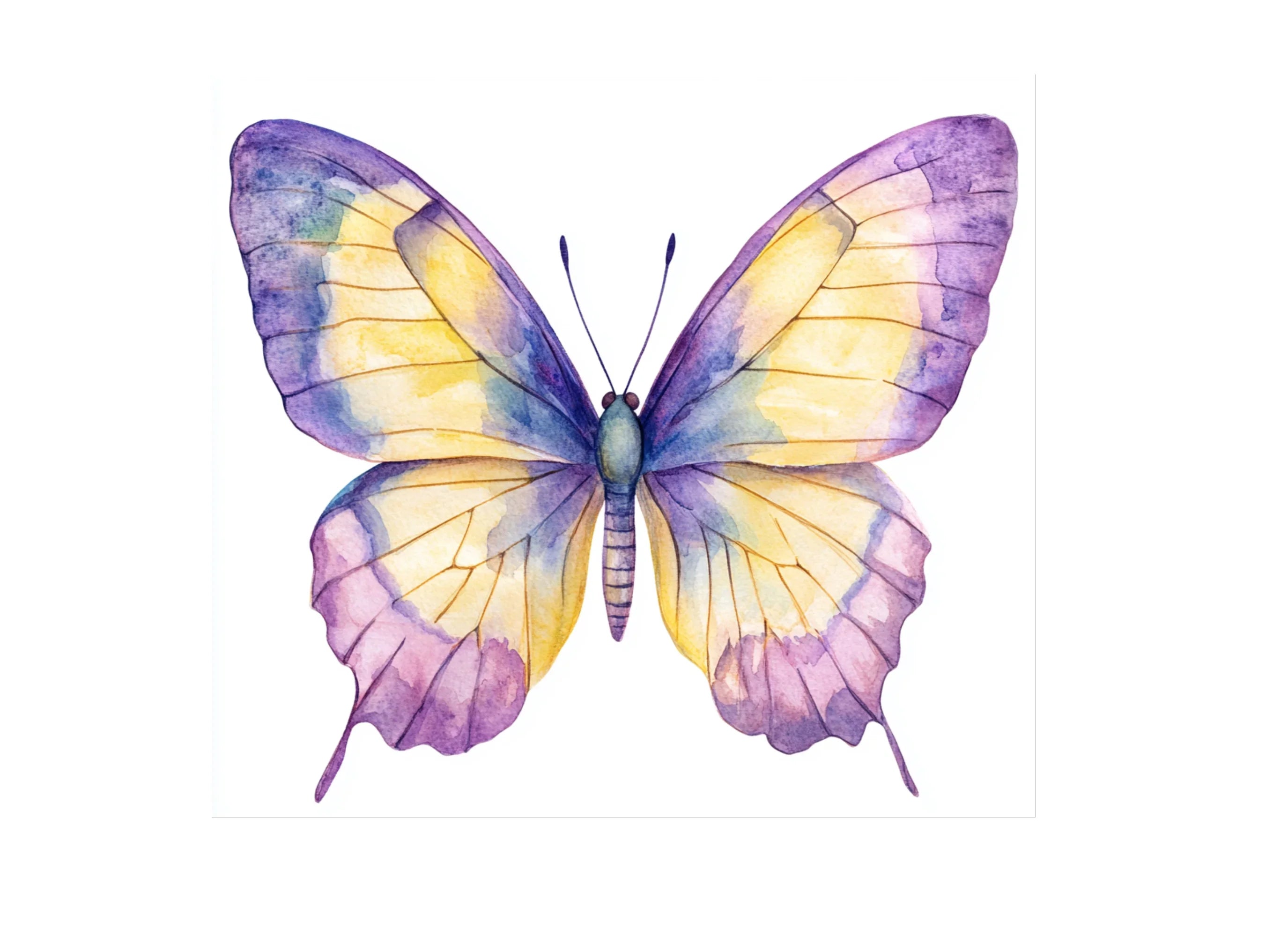 Pastel Butterfly Clipart Bundle
