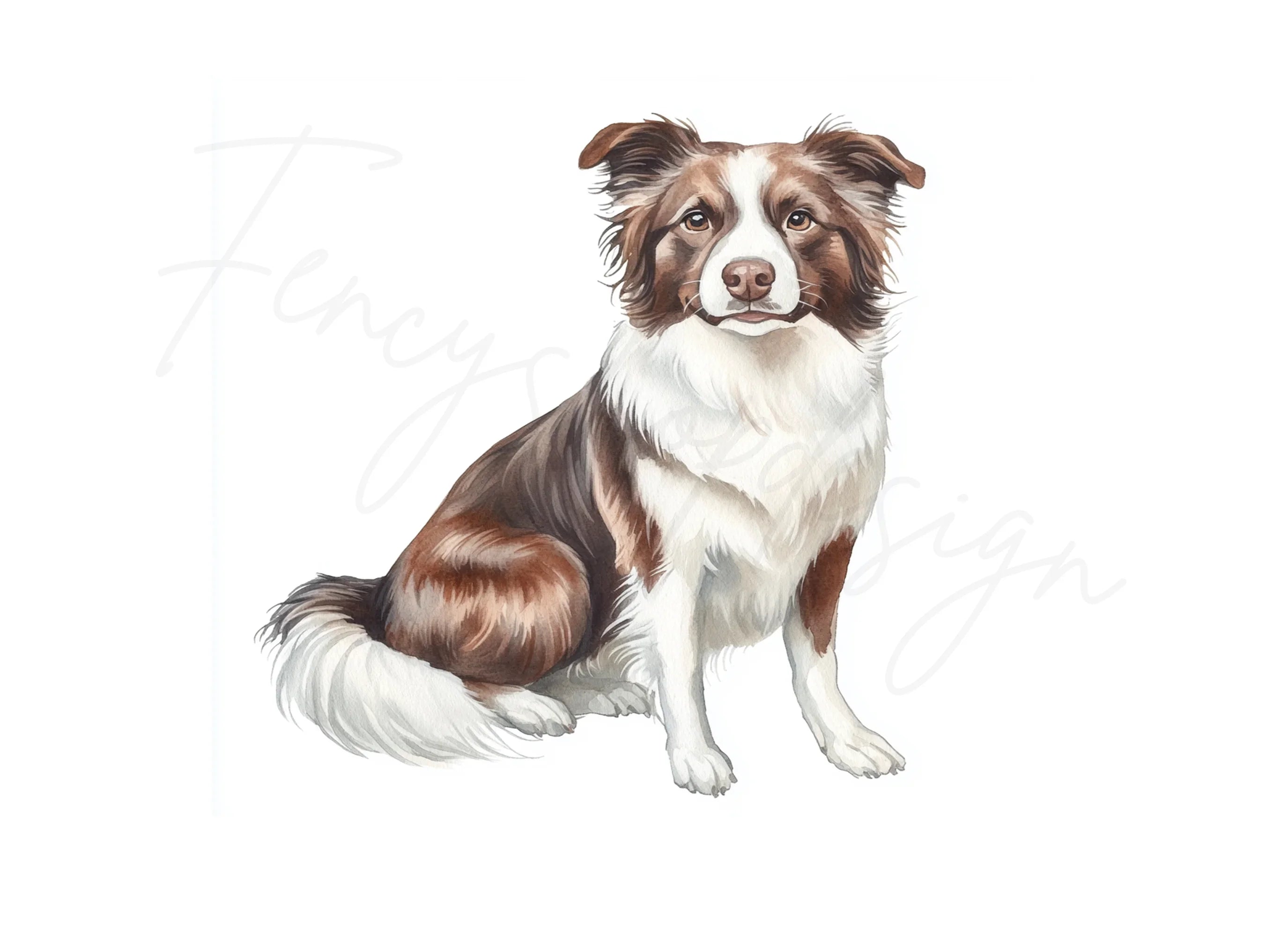 Border Collie Dog Illustration Clipart Bundle