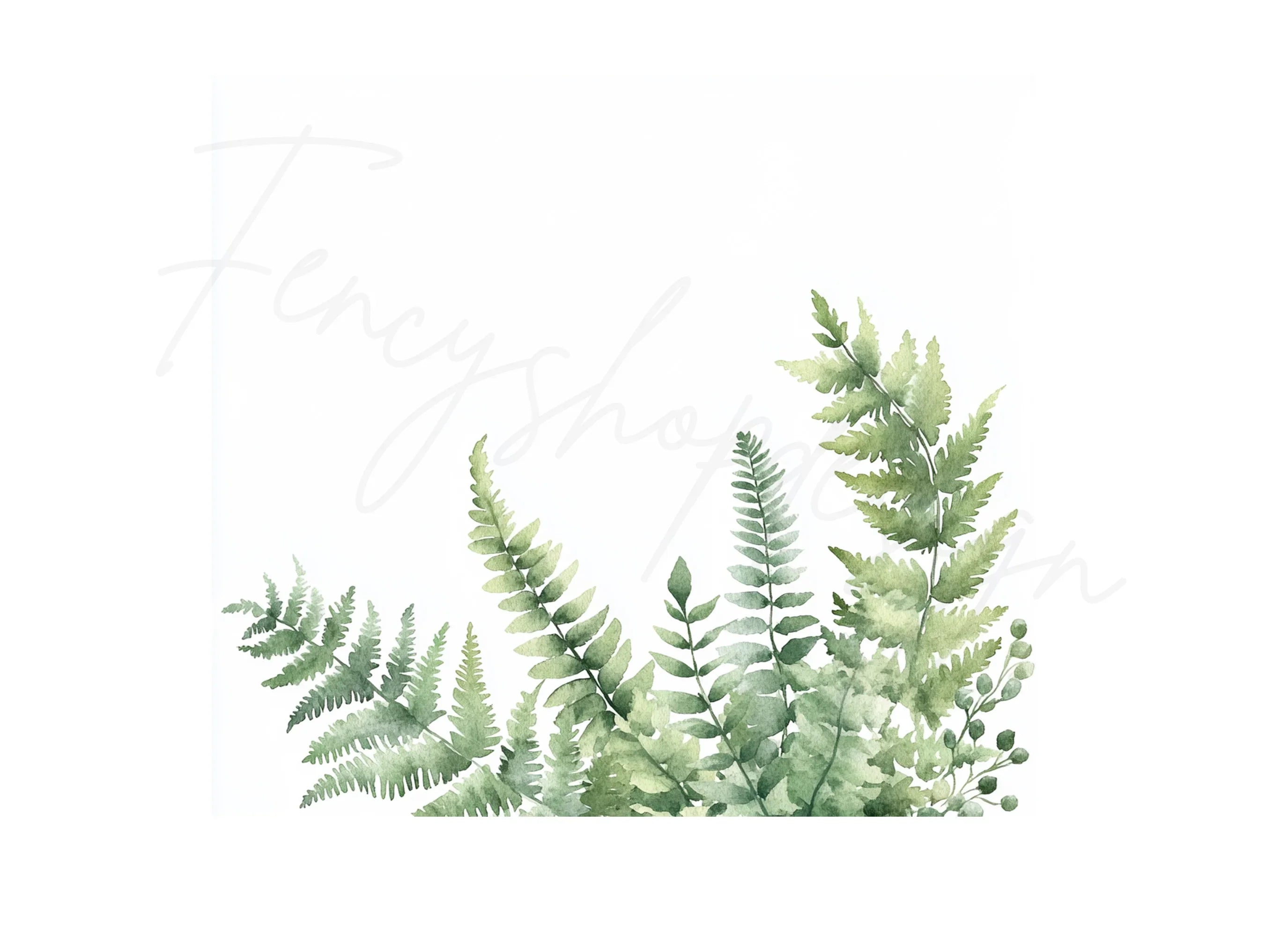 Fern Clipart Bundle