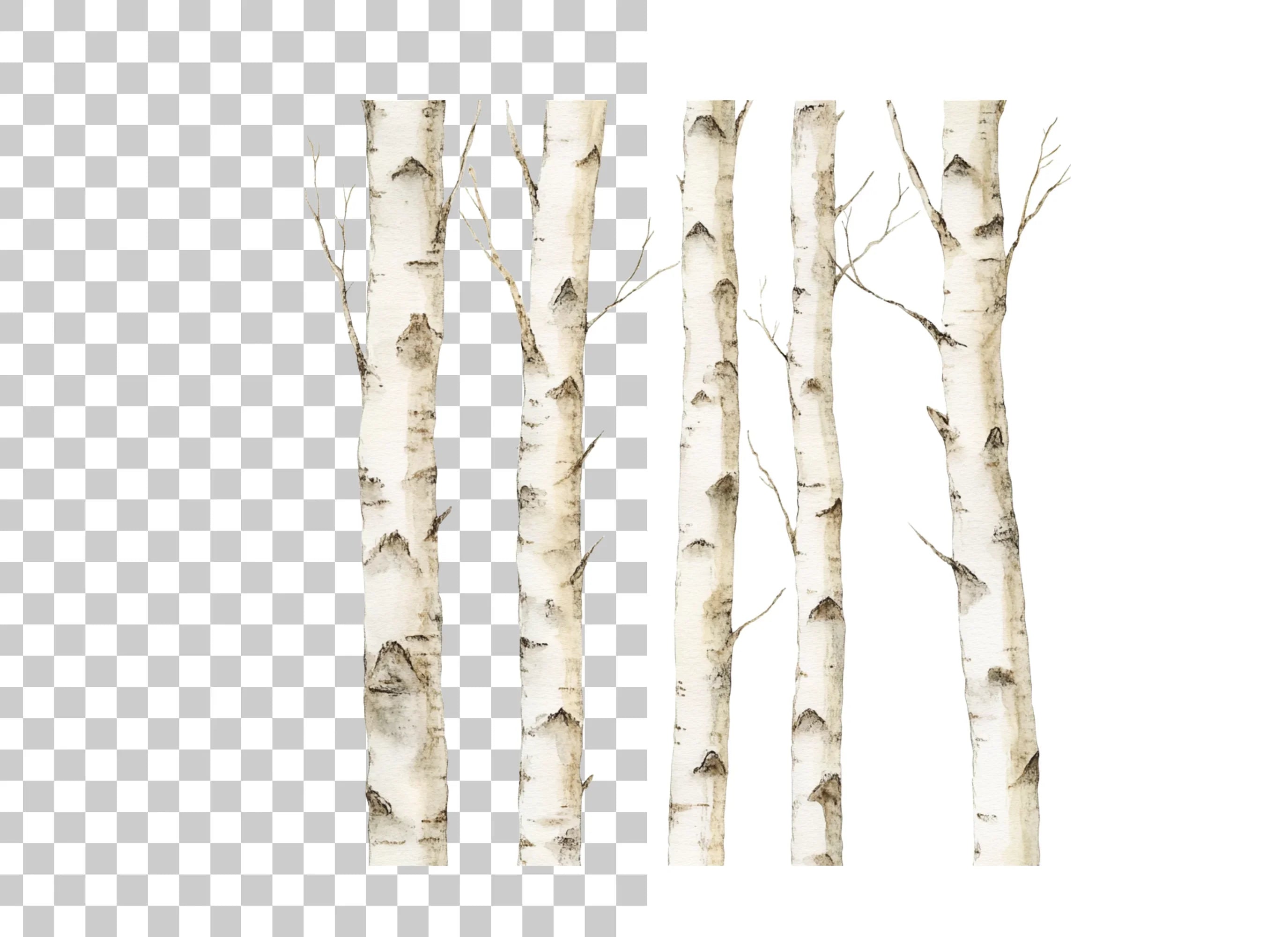 Birch Tree Clipart Bundle
