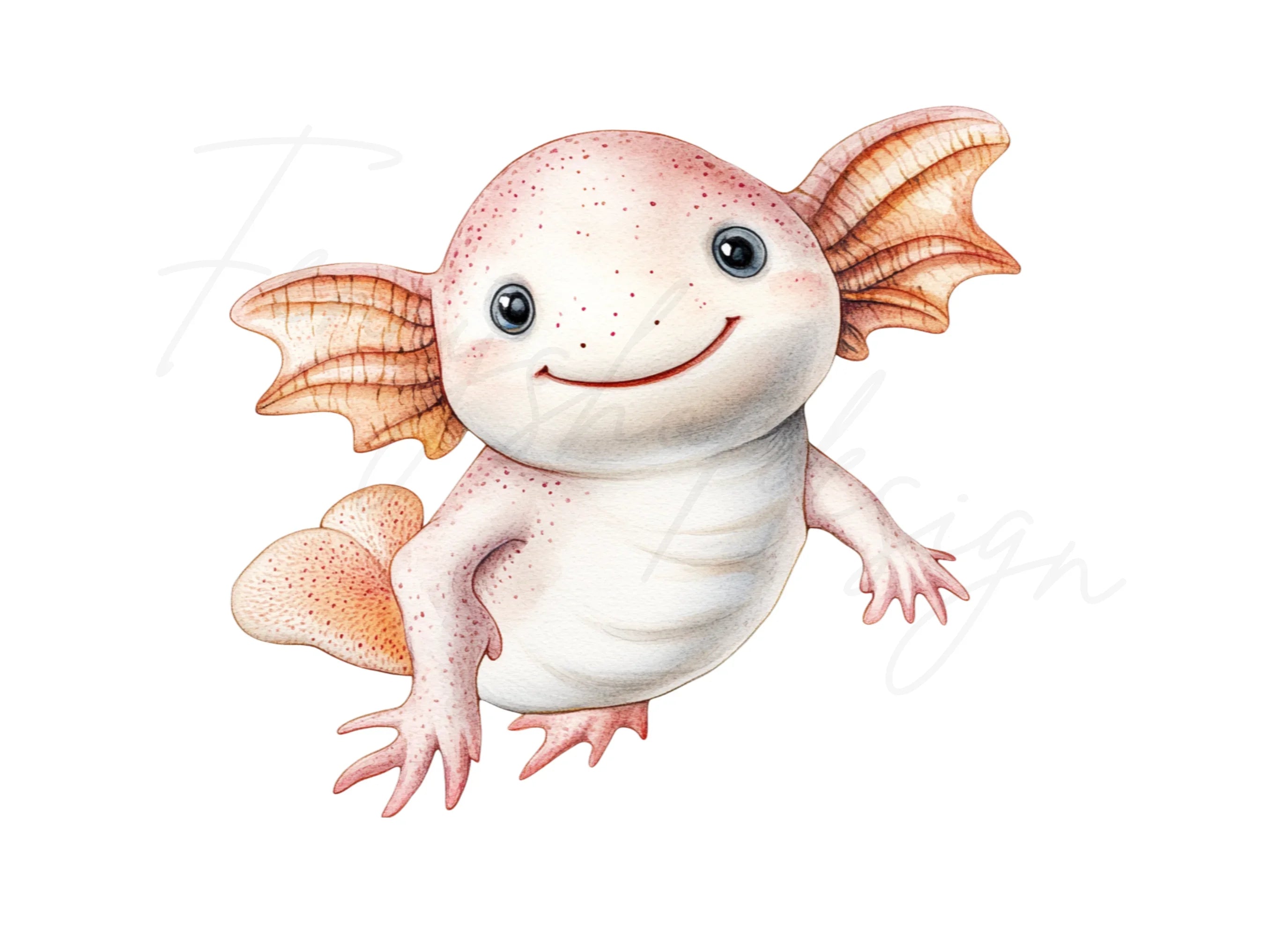 Cute Axolotl Clipart Bundle