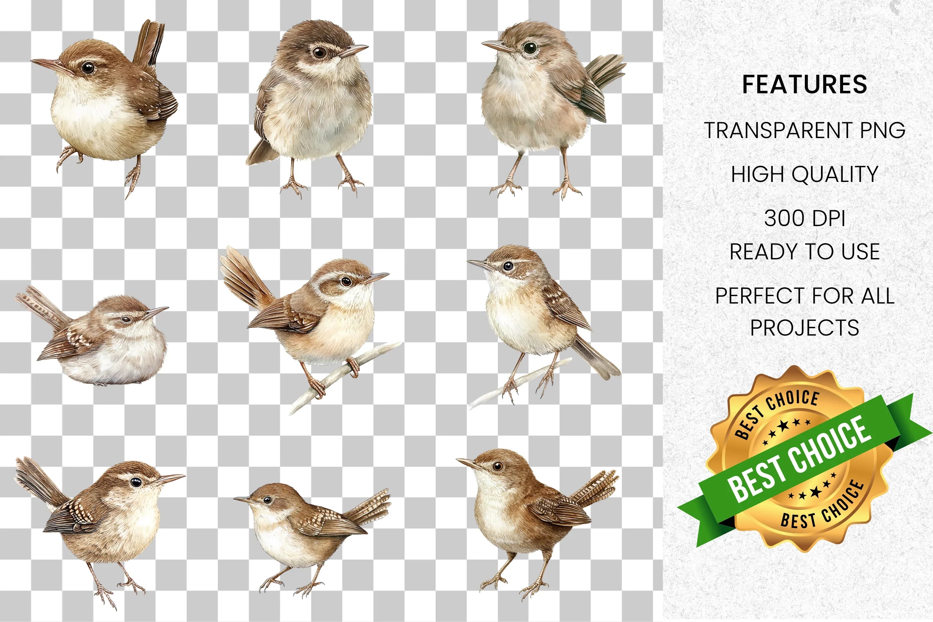 Brown Wren Bird Clipart Bundle